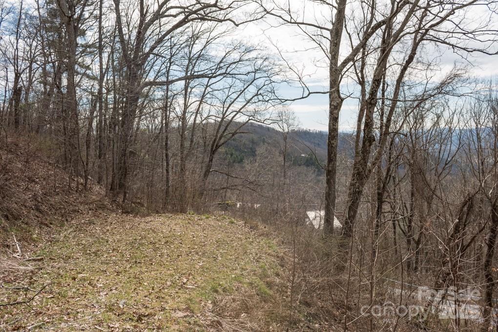 Wildcat Cliffs - Land