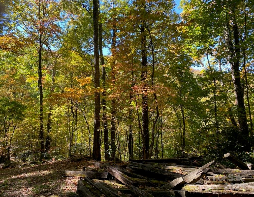 Perfect lot for a new cabin in the acclaimed community of the Smoky Mountain Retreat at Eagle's Nest. Easy access with driveway and pad roughed in. Elevation: 3,630 feet. Great view of the mountains once some trees and limbs are trimmed.