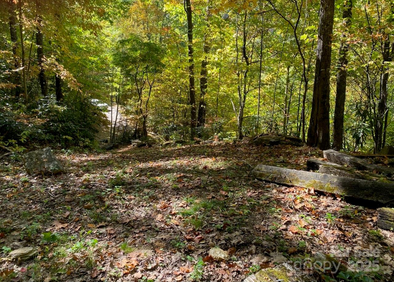 Smoky Mountain Retreat at Eagles Nest - Land
