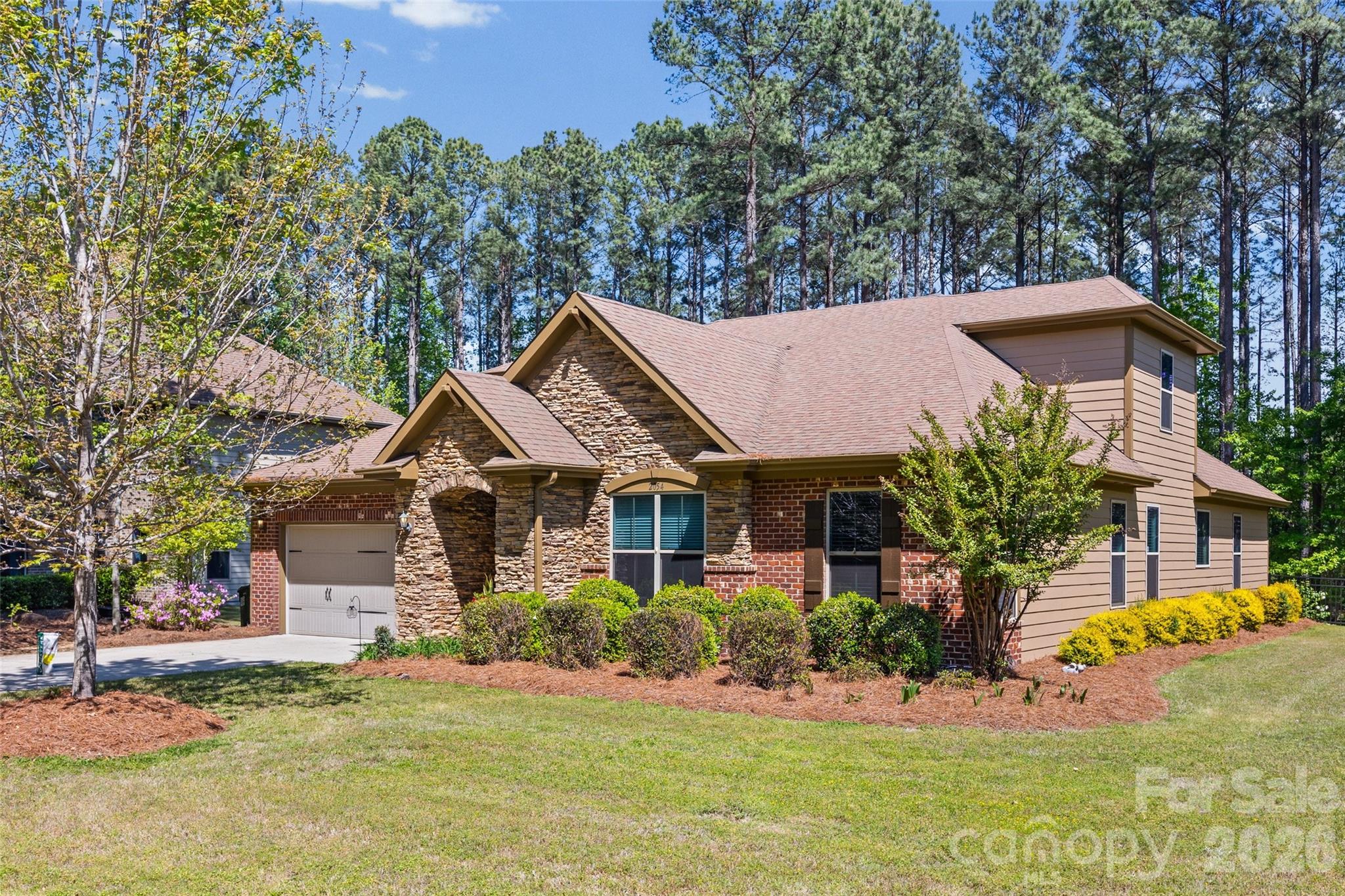 Palm Tree Cove II - Residential