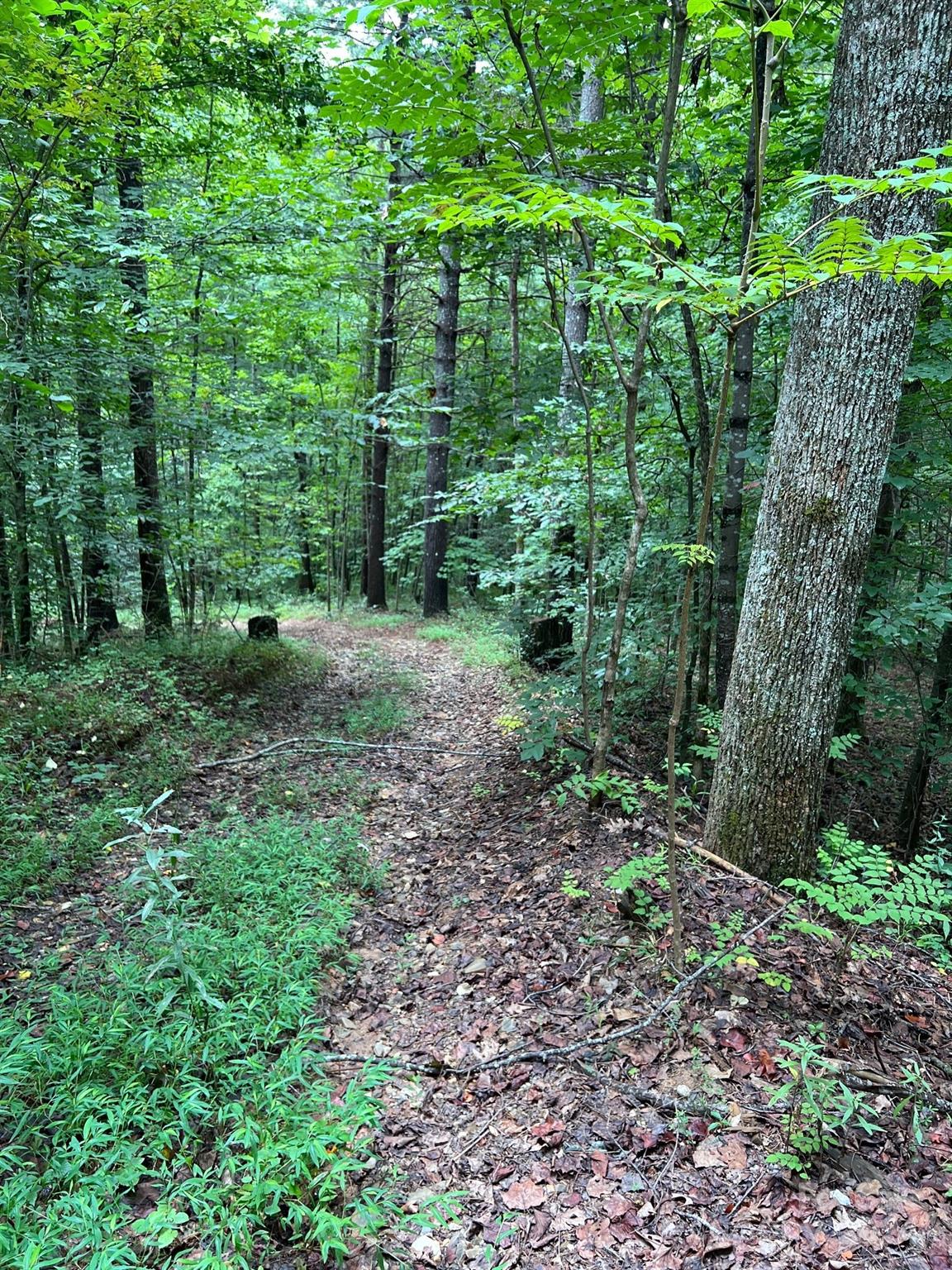 Price Improvement! Come and enjoy your slice of private living in beautiful Marion, NC. This beautiful, tranquil wooded lot has a small creek on the property. Marion is located minutes from beautiful Lake James and less than an hour drive from Asheville. The shed on the property was built without permits. There are no known active HOAs on the property.