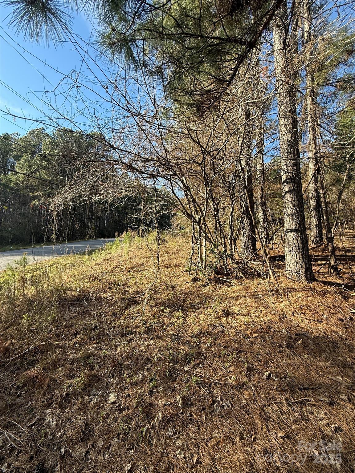 Silver Creek Estates - Land