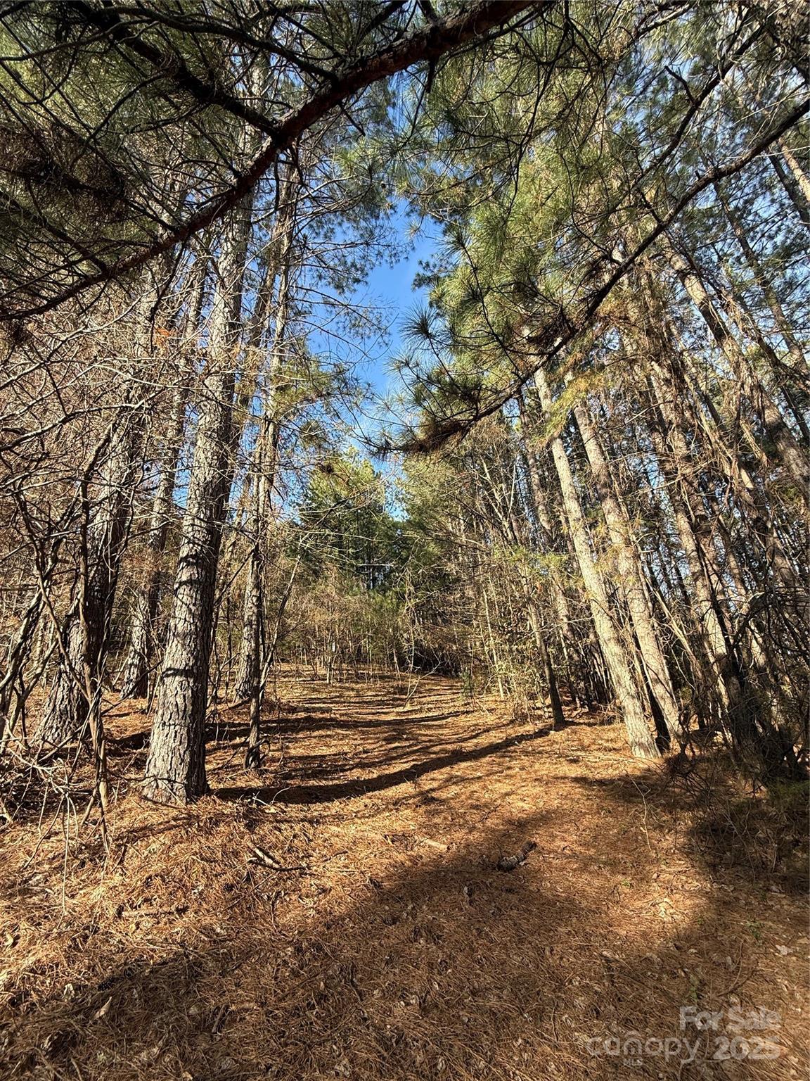 Silver Creek Estates - Land