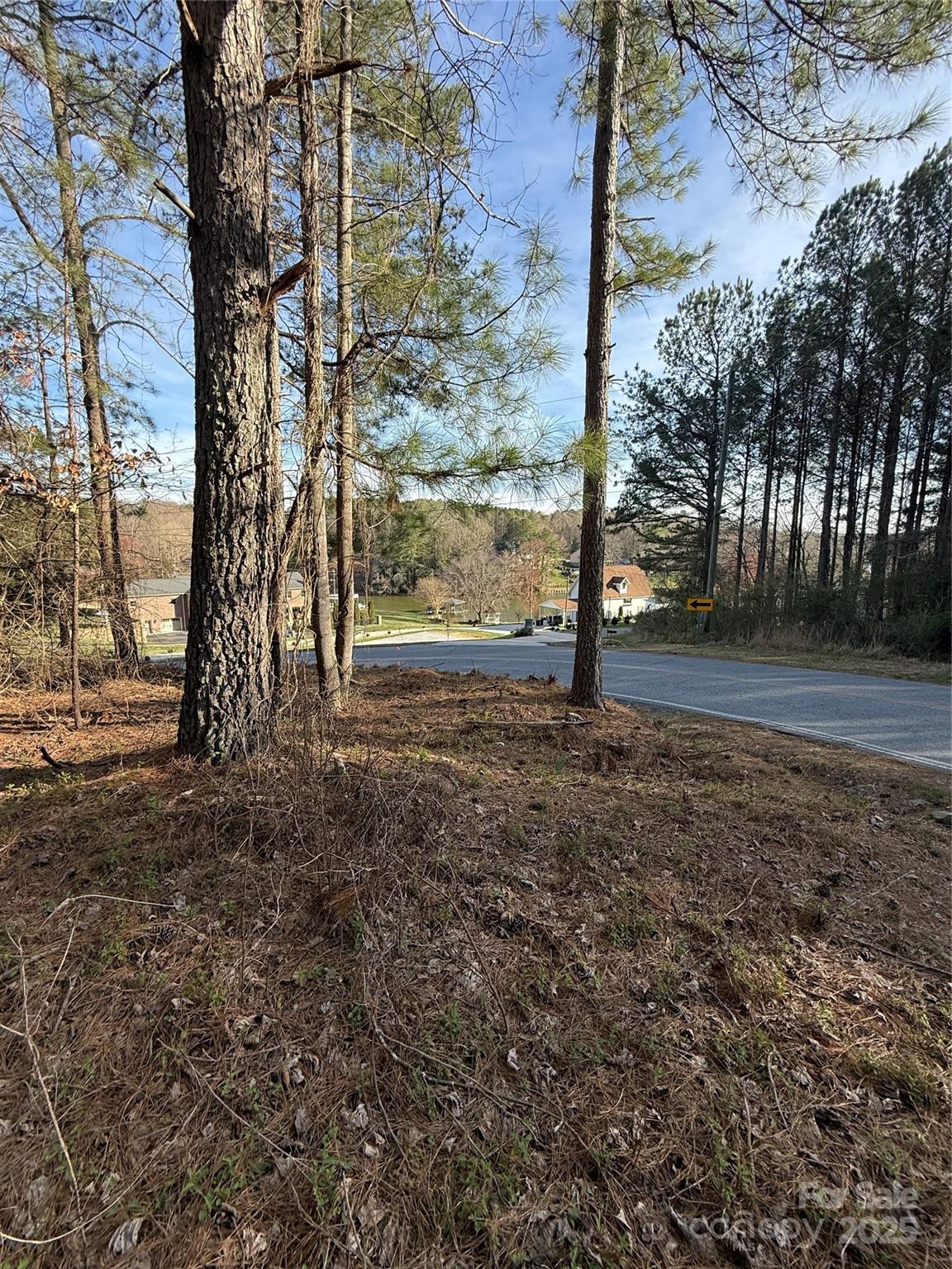Silver Creek Estates - Land