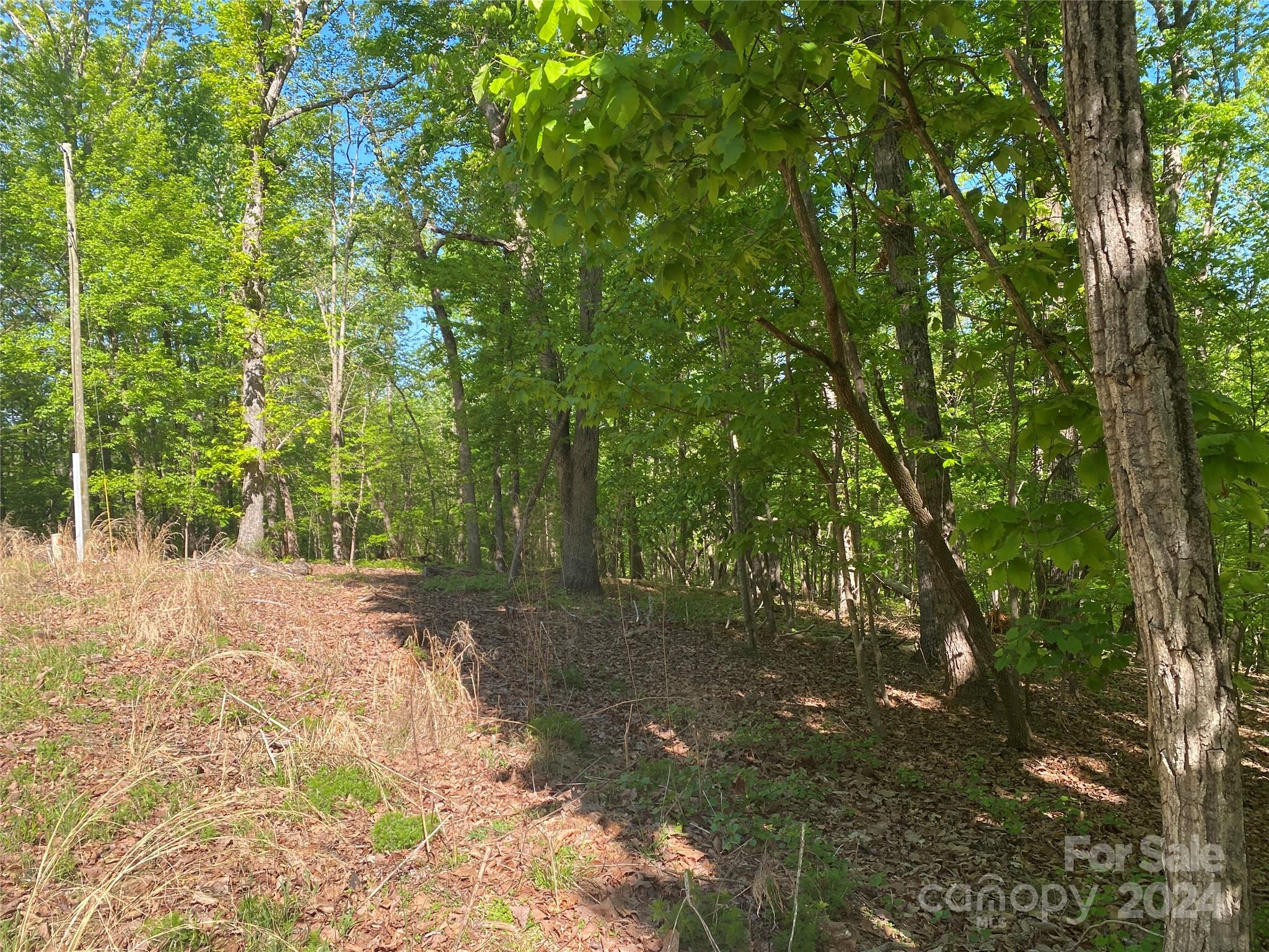 Chickasaw Point - Land