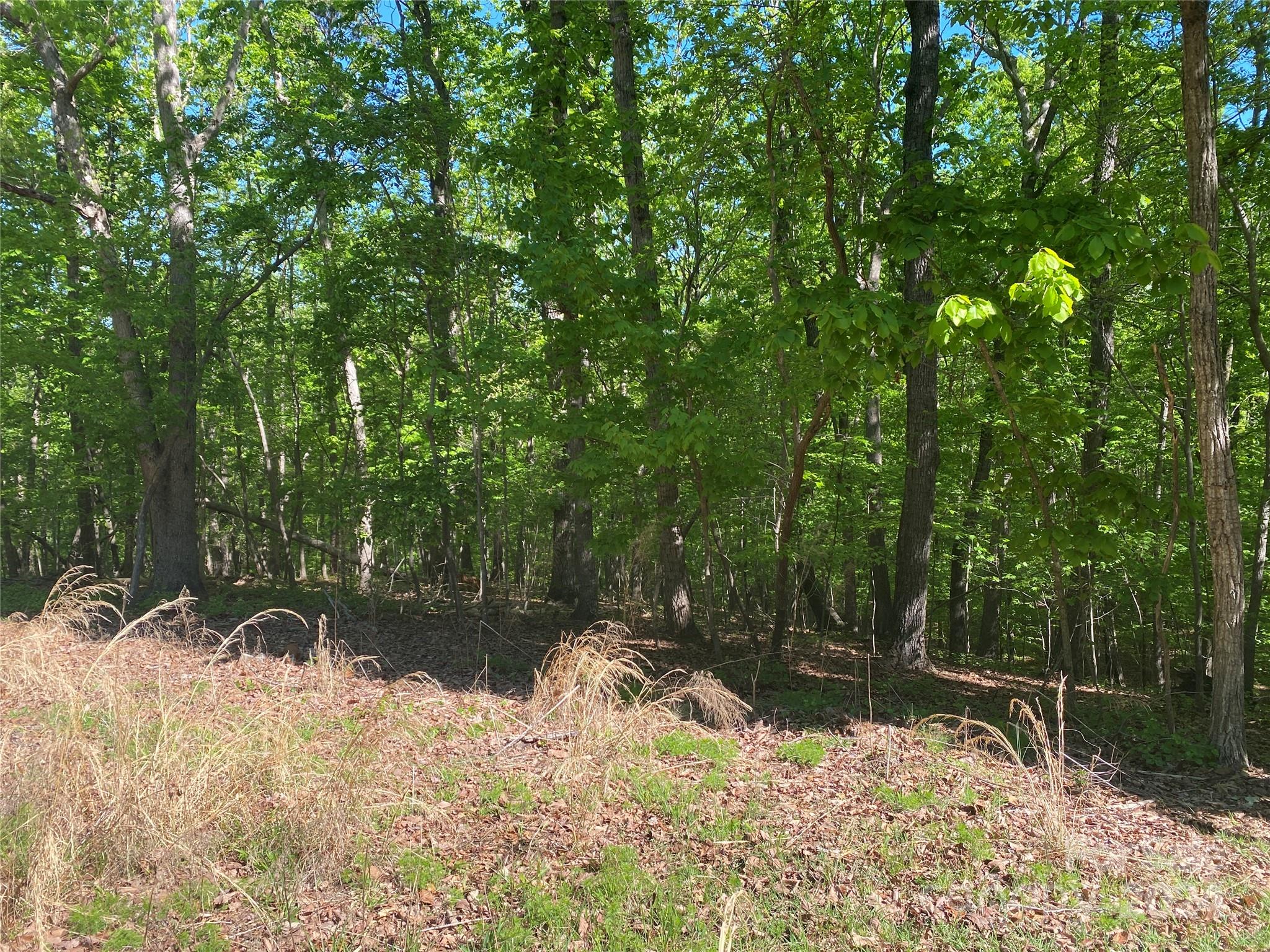 Chickasaw Point - Land