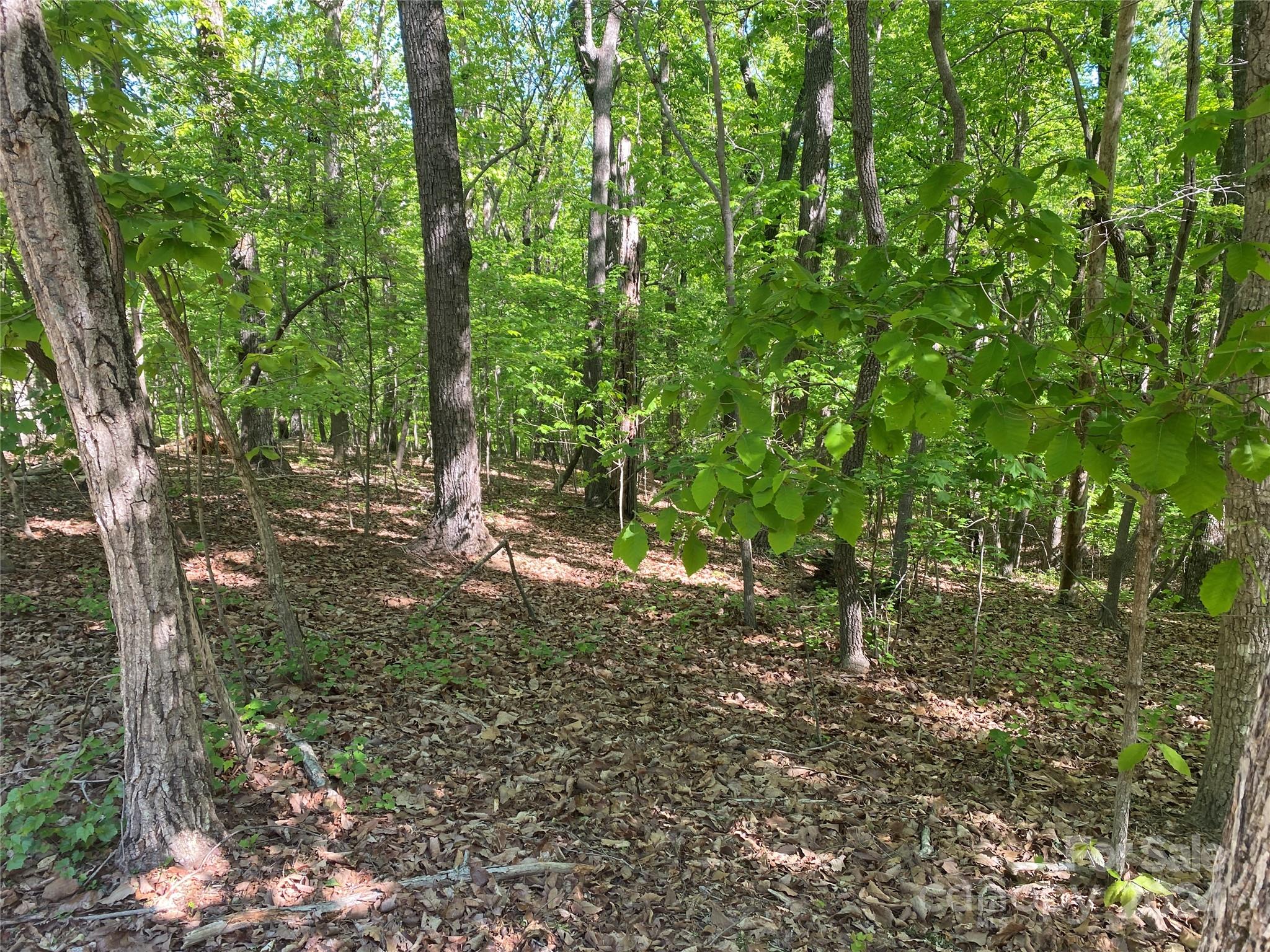 Chickasaw Point - Land