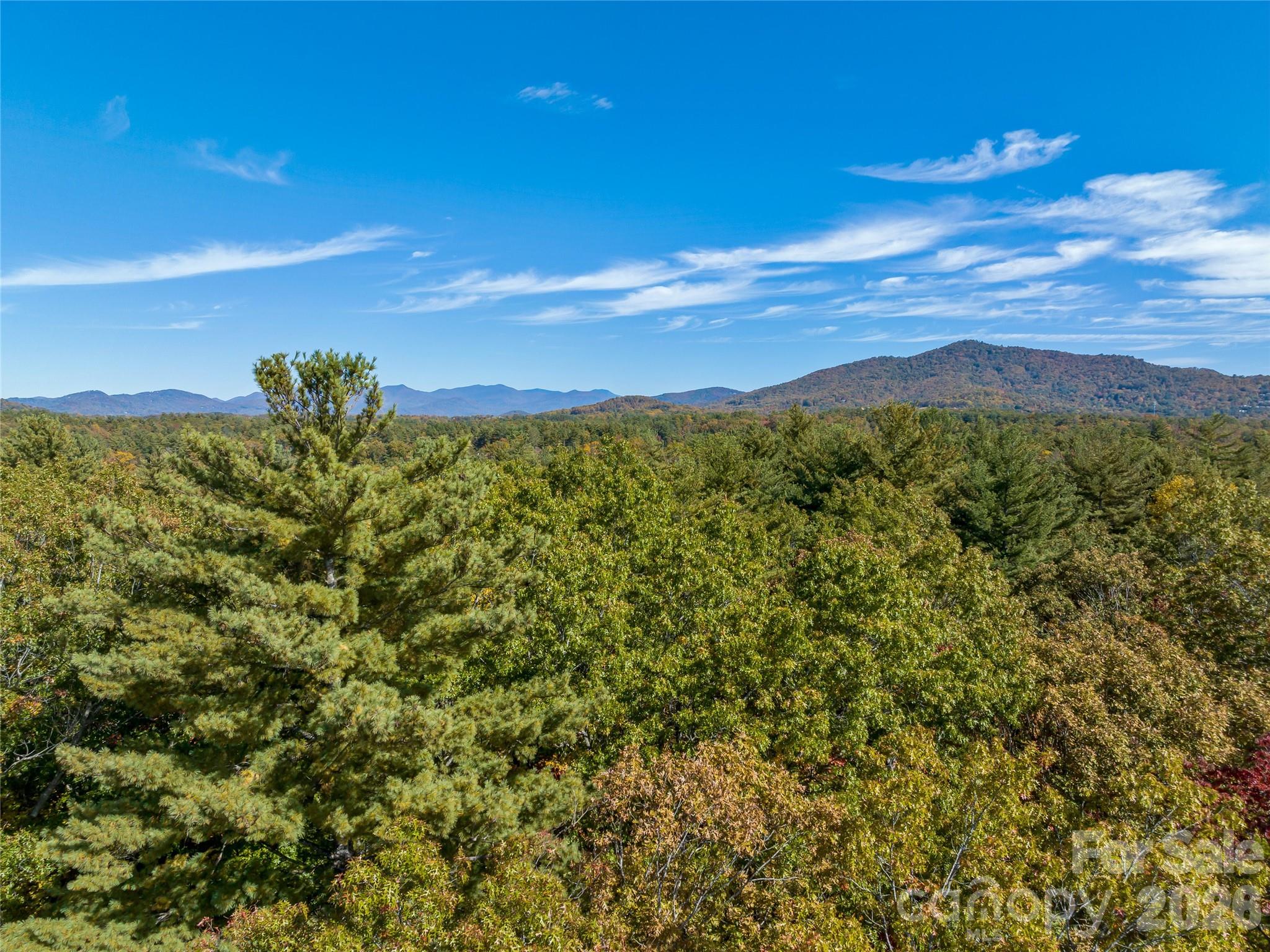 Ramble Biltmore Forest - Land