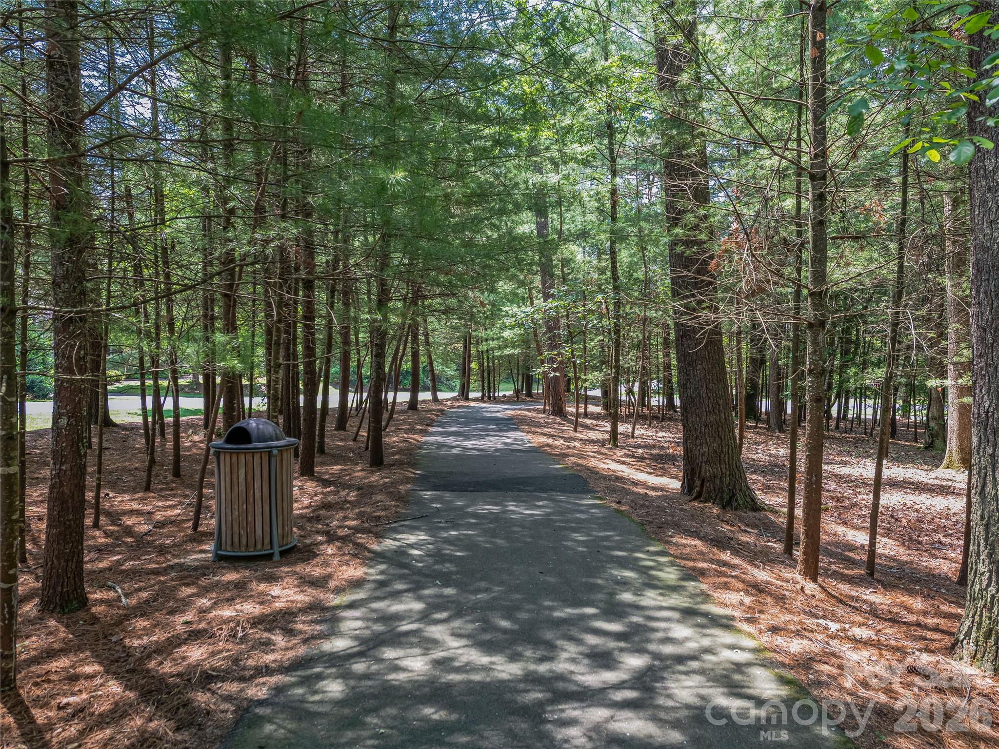 Ramble Biltmore Forest - Land