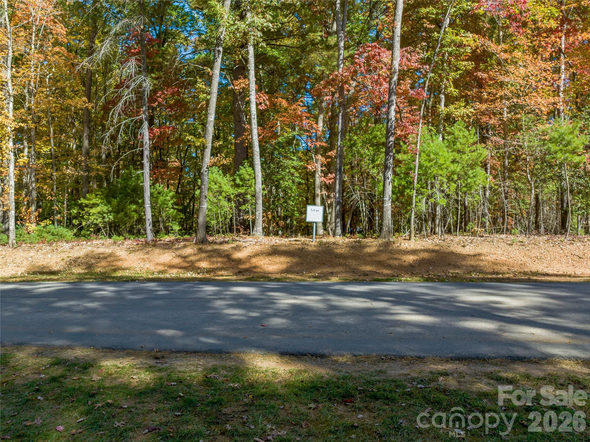 Ramble Biltmore Forest - Land