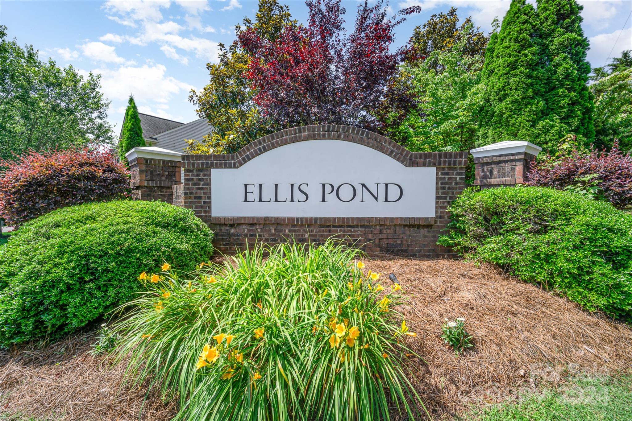 Ellis Pond - Residential