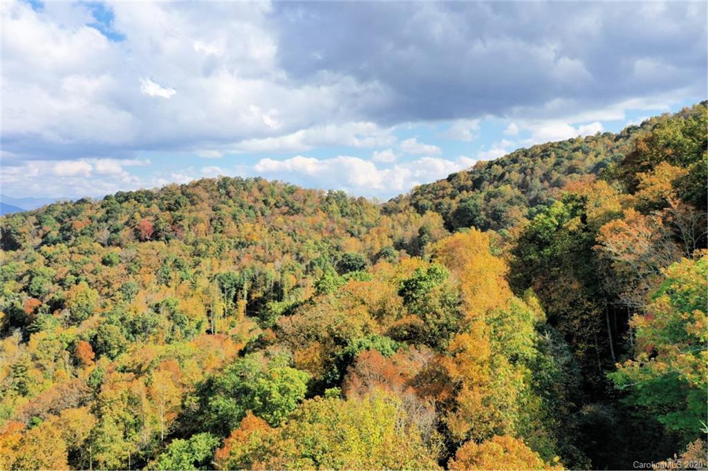 Mountain Forest Estates - Land