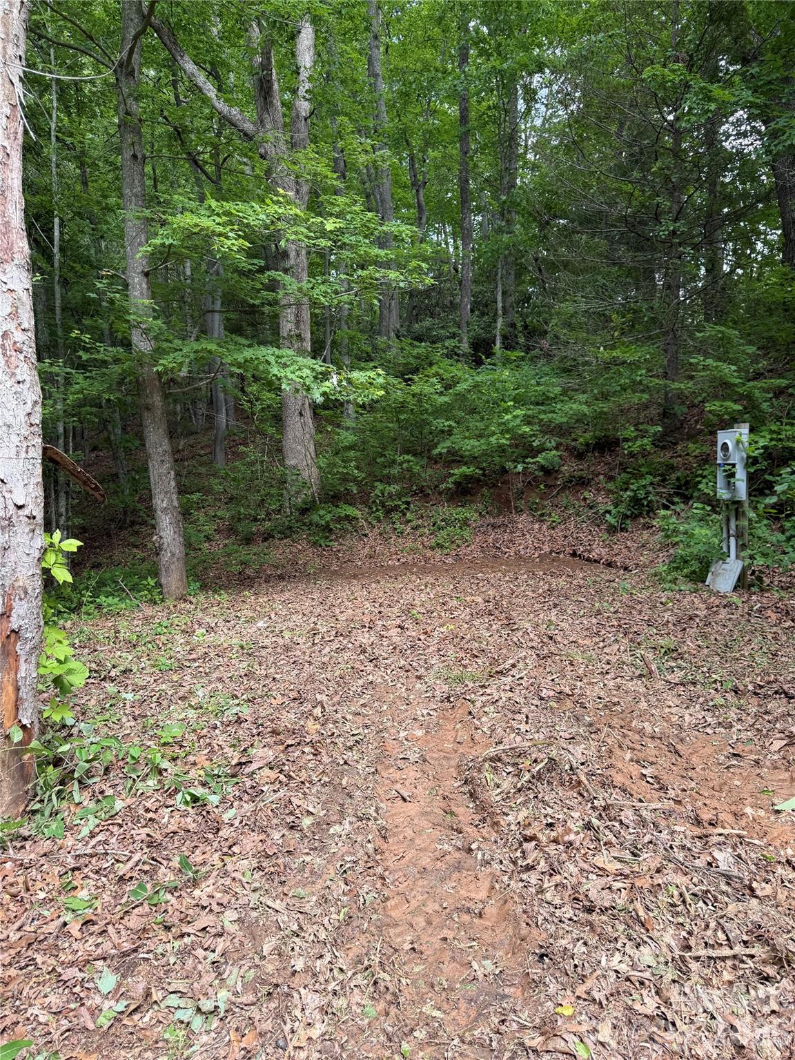 This property is being sold AS IS. This 0.28-acre residential lot is ideally located in the Spivey Mountain area, offering a peaceful setting while remaining just minutes from downtown Asheville, shopping, dining, and outdoor recreation. Enjoy the best of mountain living with convenient access to all the amenities Western North Carolina has to offer. Whether you're planning a primary residence, vacation retreat, or investment project, this property presents an excellent opportunity to own land in one of North Carolina's most sought-after destinations. Land has NOT been perced. Land DOES have electric.