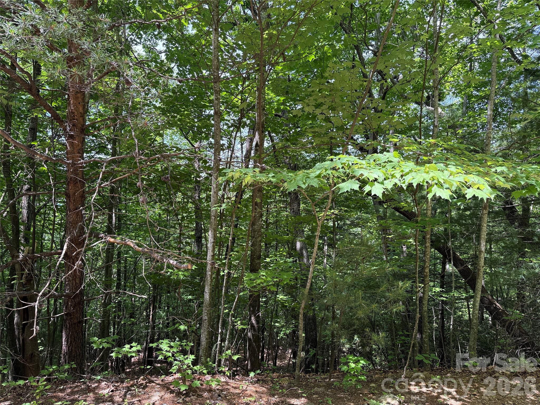 5+ ACRES | SHARED WELL | VIEWS | ATV/UTV FRIENDLY | HIKING TRAILS | COMMUNITY AMENITIES | FIBER OPTIC | Searching for a place to build where stunning views, outdoor adventure, and mountain community living come together? Discover Lot 132A Warren Way Rd in 3,400 acre Buck Mountain, Wilkes County’s only gated ATV friendly community. Begin planning your dream mountain home. Lot 132A has potential for long range mountain views and views of the Blue Ridge Pkwy. Position your homesite to capture unforgettable sunsets. This property offers valuable upfront savings and convenience with a shared well, making your path to construction smoother and more cost effective. Underground electric and fiber optic internet are available. Buck Mountain is a nature lover’s paradise, offering an unmatched lifestyle centered around outdoor adventure and peaceful mountain living. Residents enjoy miles of private ATV and hiking trails, a stocked fishing pond, scenic waterfalls, parks, pavilions, outdoor activity center w/stage for live music, community center, and even a helipad. Spend the day exploring the trails, fishing, or simply soaking in the tranquil mountain setting. Ideal location for a full time residence, weekend getaway, or investment opportunity. Convenient with these travel times: Charlotte 1hr, Winston 1hr 40min, Raleigh 2hrs 45min. CENTRALLY LOCATED 35 min to Boone, West Jefferson and Wilkesboro. Close to BLUE RIDGE PKWY, ASU, shopping, dining, golf, wineries, breweries, mountain biking and skiing. Both short-term and long-term rentals are allowed. 1,400 SF min. NO TINY HOMES. NO MOBILE HOMES. NO SELLER FINANCING.