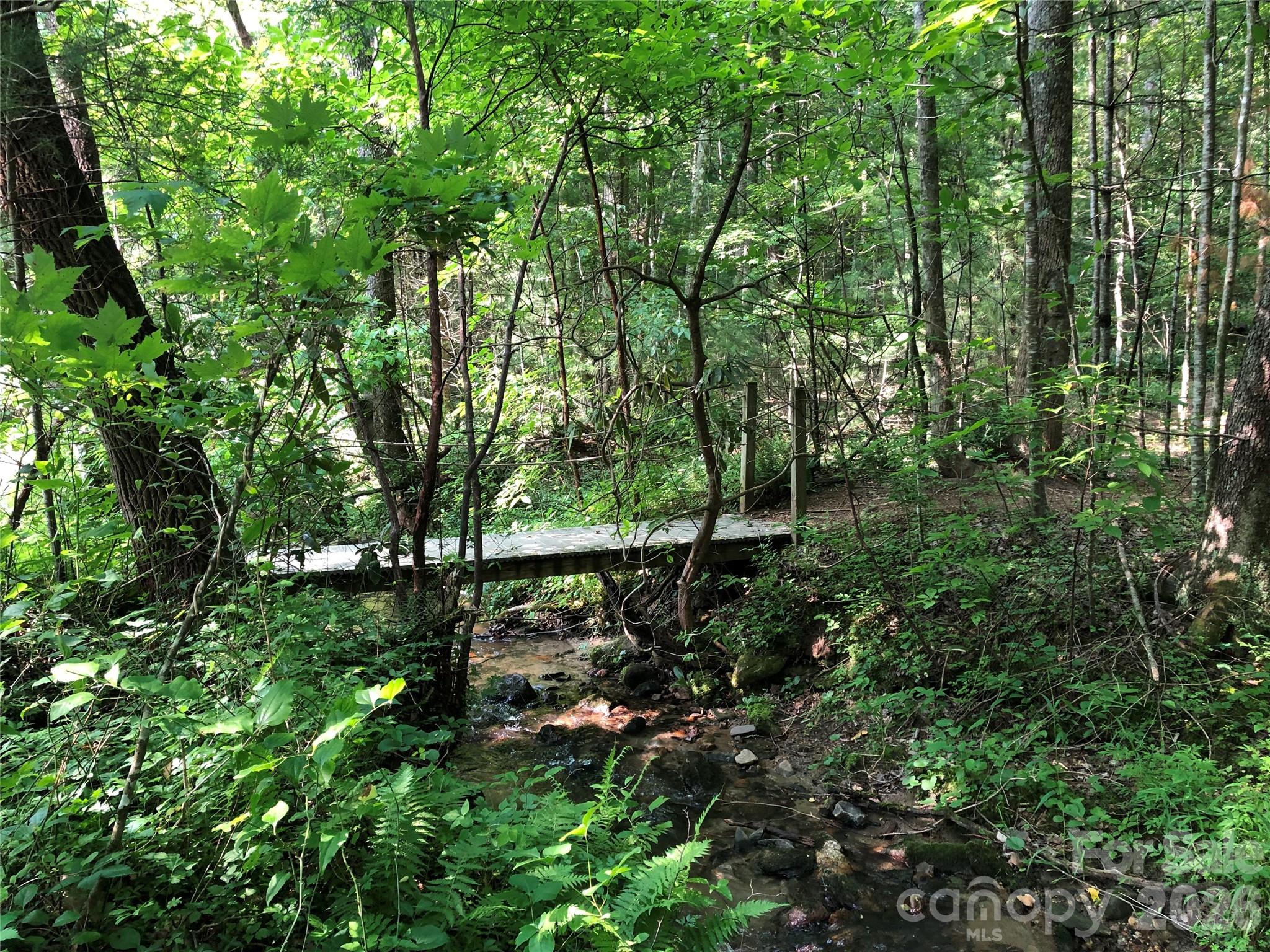 Buck Mountain - Land