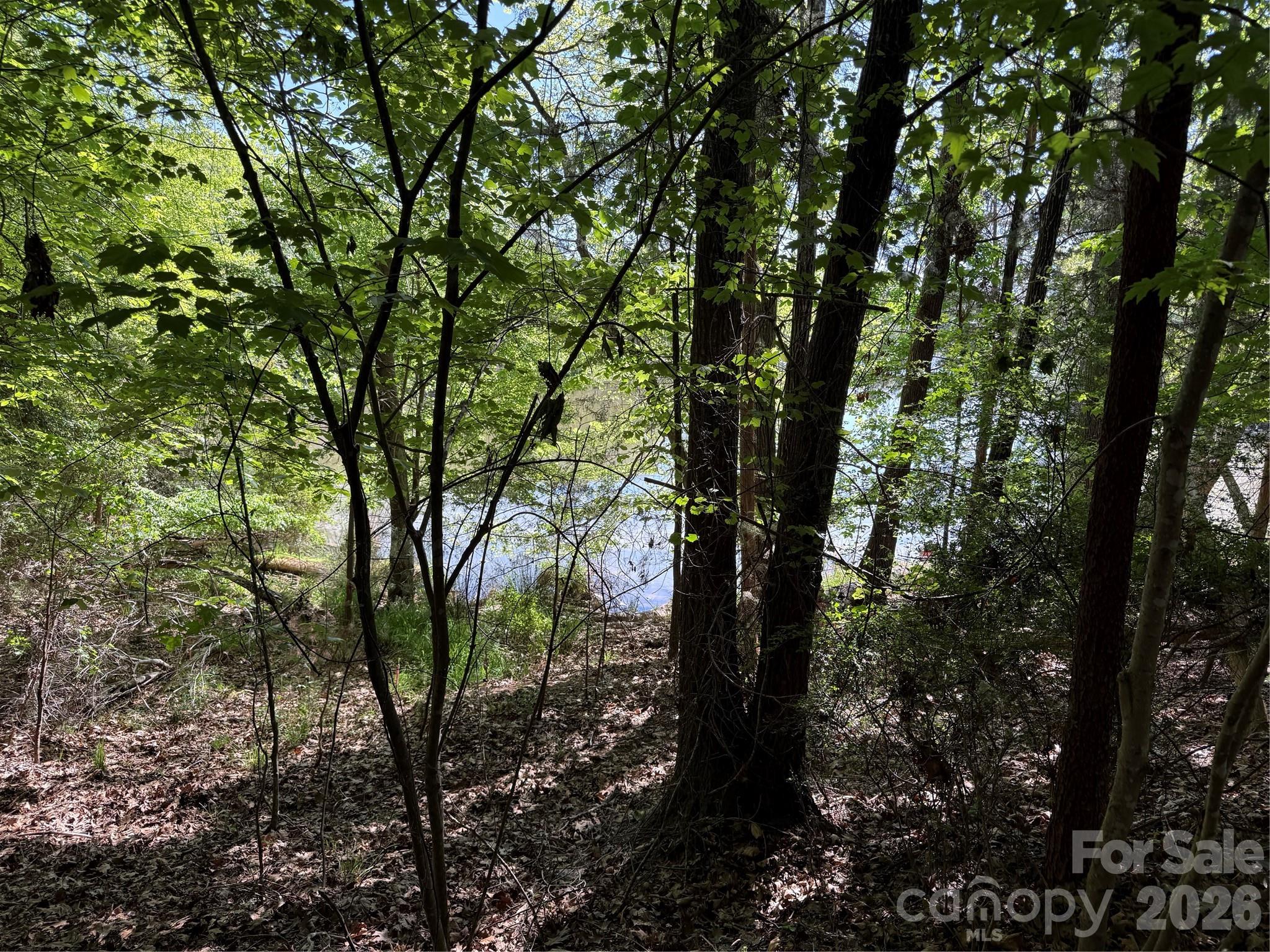 Edgewater - Land