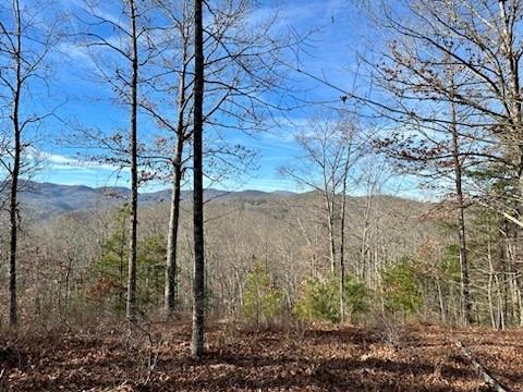 French Broad Crossing - Land
