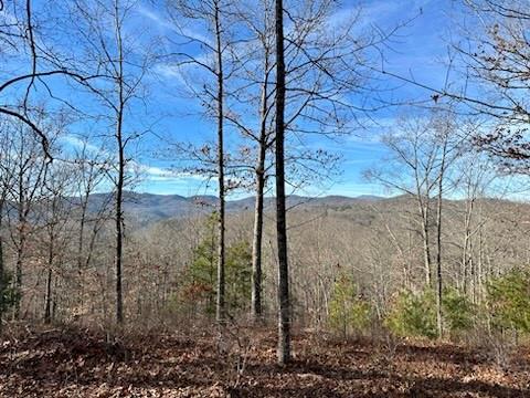 With an easy build site and vast mountain views, this beautiful lot will also enable you to witness the stunning sunsets! If you're looking to build your dream mountain home or vacation getaway, look no further. French Broad Crossing is a gated conservation community with easy access to Asheville and amenities galore! Enjoy the River Lodge, Fitness Center, Pool, River Park, Treehouse, and miles of walking/ATV trails! Relax and watch the sunset from your home or the River Lodge, gather with family and friends by the fire, or just absorb nature on the trails. This is THE place to check out of the daily hustle and bustle and take a deep breath! Fiber Optic cable has also been wired throughout the community. If more land/privacy is desired, neighboring lot 24 is also on the market! See MLS# 4228765. FBC has a designated medical helicopter landing zone.