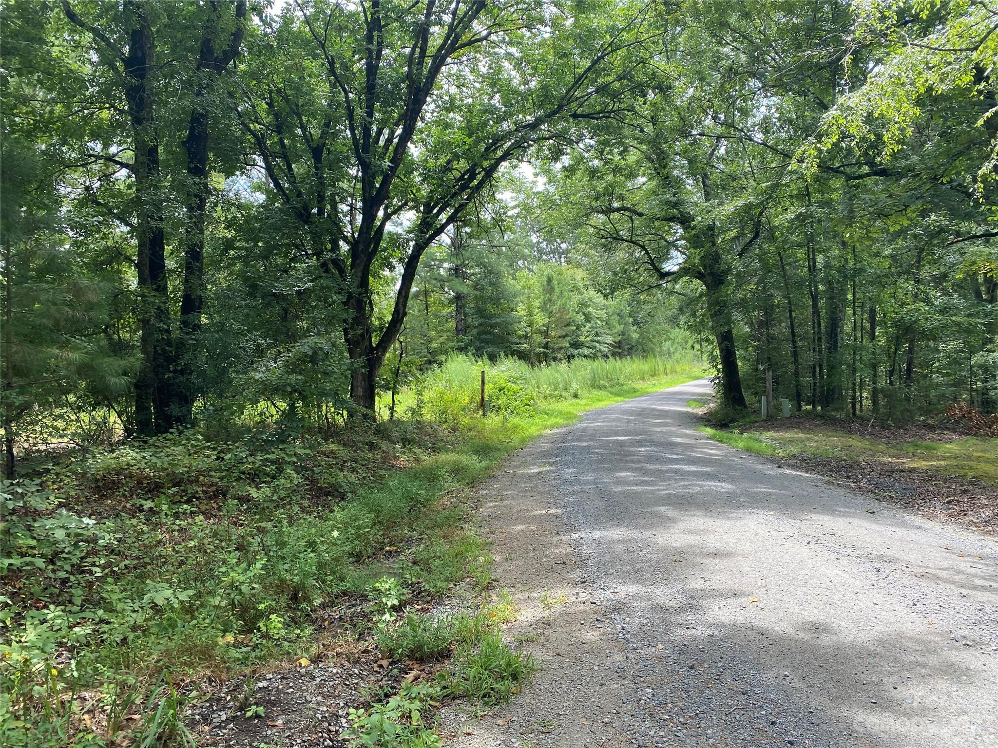 Come see this beautiful lot situated in an excellent rural location that is a little over 15 minutes from downtown Waxhaw and just 13 minutes to Lancaster! This lot is relatively level and would provide a private homesite on a county maintained gravel road. Save money on building costs with water accessible at the street (tap fee required). This is a wooded lot, however, many trees are young pines which would would lend to a more economical clearing or thinning process to provide open space. Great value for almost two acres of land! Site will require an alternative septic system.