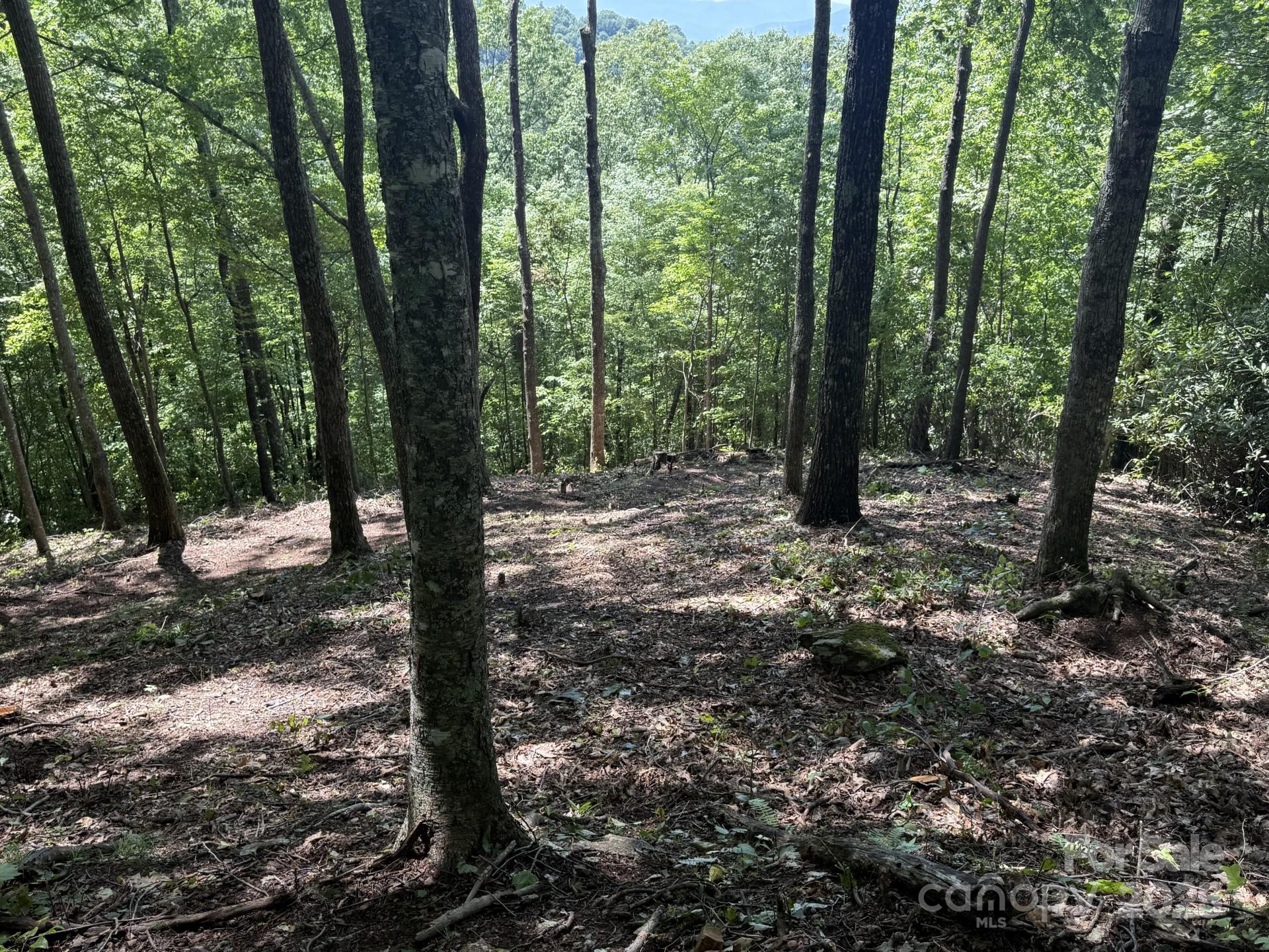 Balsam Mountain Preserve - Land