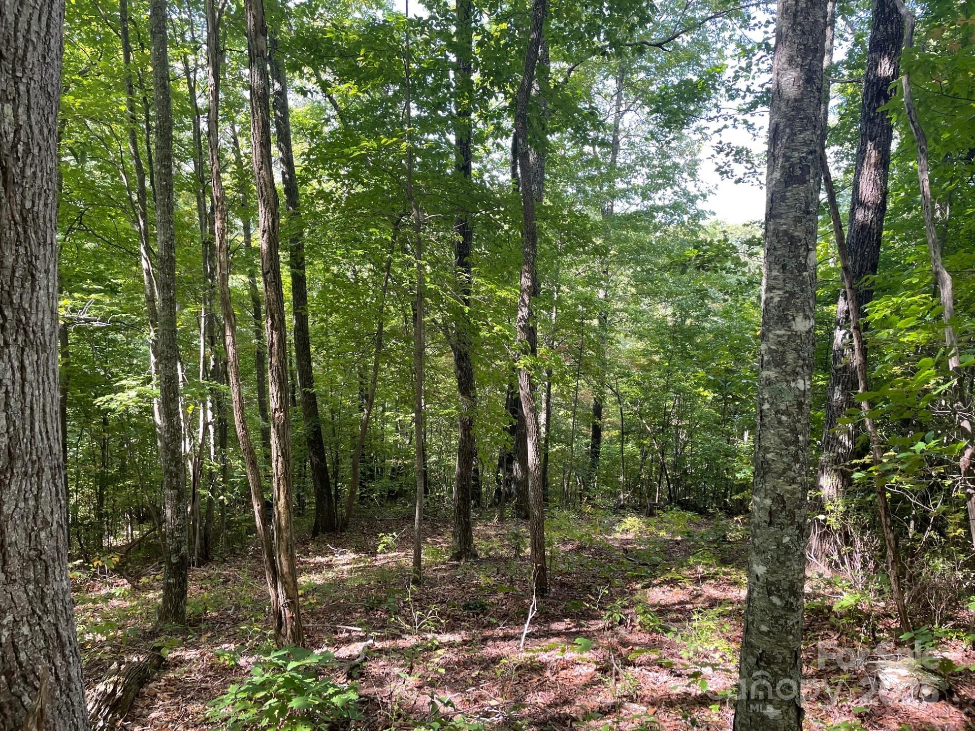 Balsam Mountain Preserve - Land