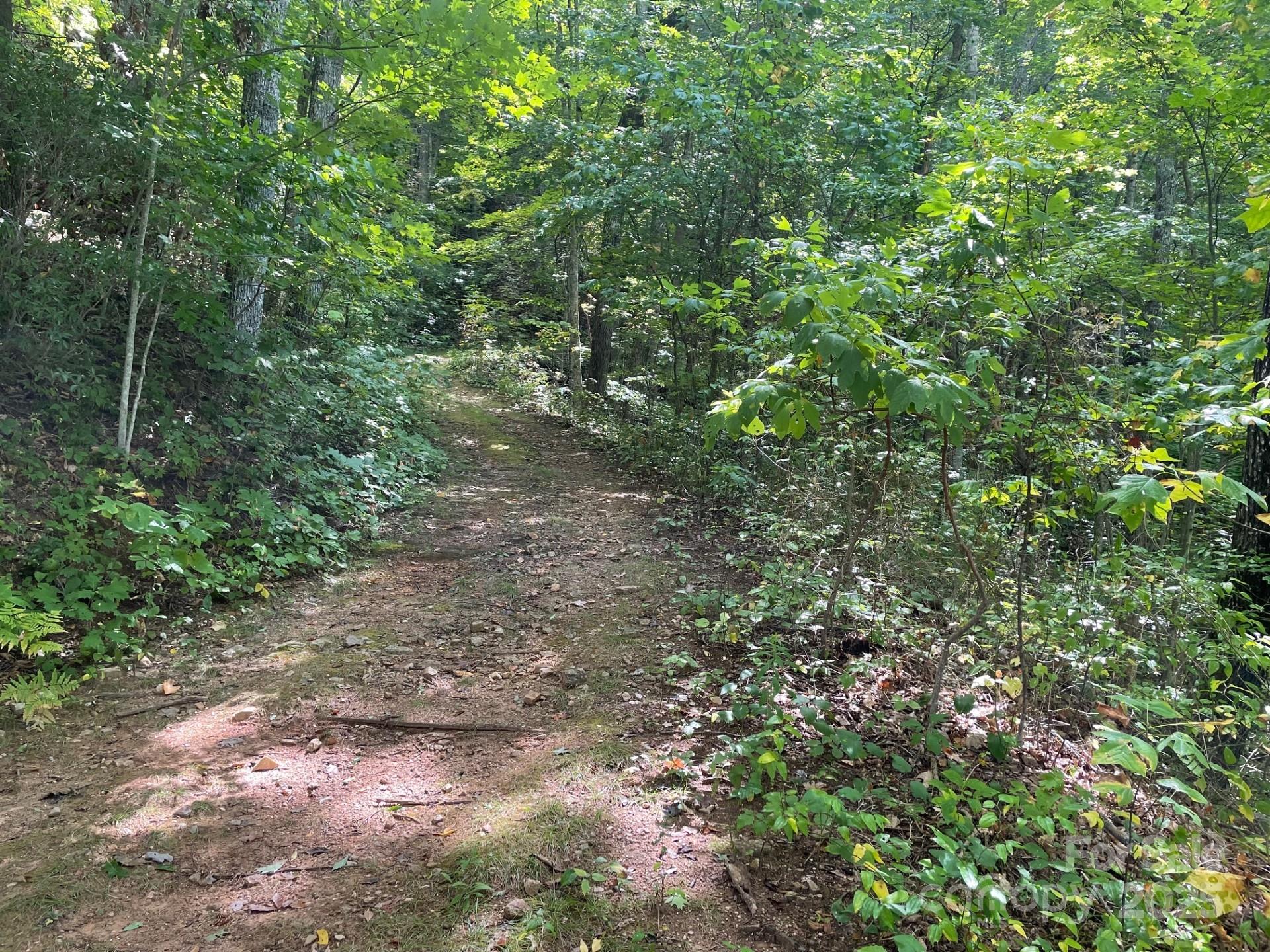 Balsam Mountain Preserve - Land