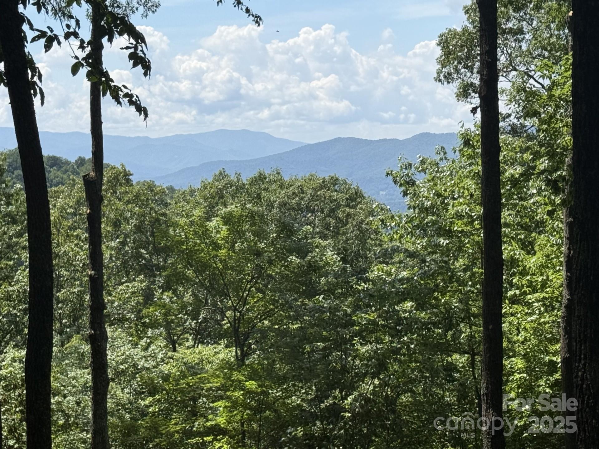Enjoy the gorgeous drive through the woods until you reach a great build site, perfect for a walkout lower level and with beautiful Western views of the mountains.  Privacy abounds as the property is totally surrounded by the conservation easement.  The trail system abuts the property, so you can go for hikes right from your front door. Balsam Mountain Preserve is a private 4,400 acre club community with 3,200 acres of conservation land and completed amenities featuring golf, equestrian, scenic trails, tennis and dining. The stunning new facilities at Doubletop Village, including the Summit House Restaurant and Mine Tavern, are now open to members and their guests.