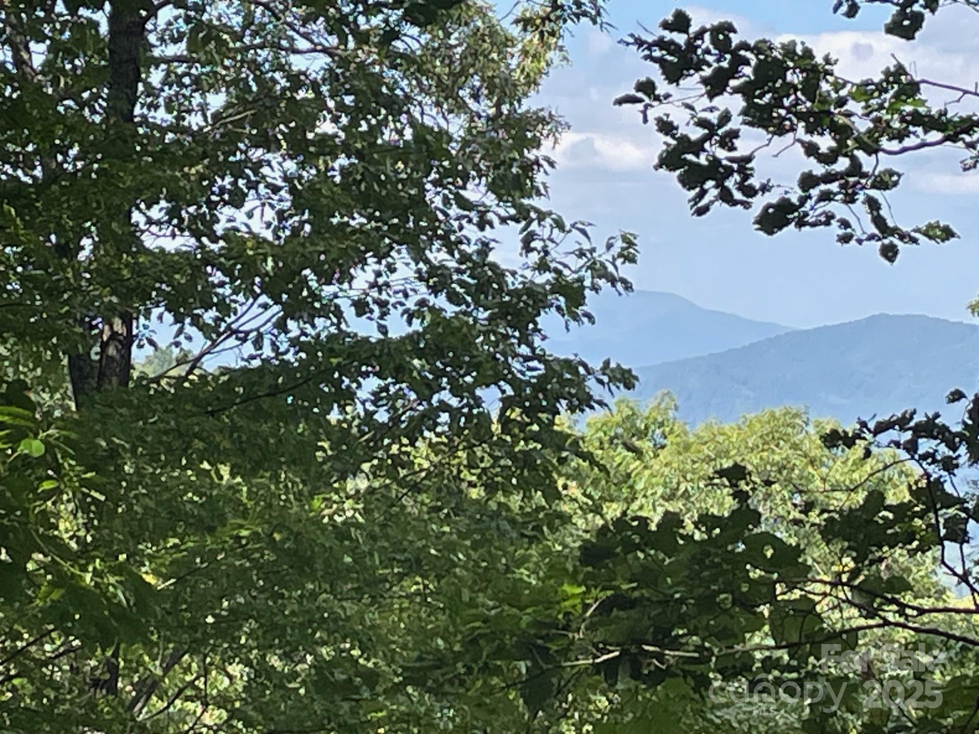 Balsam Mountain Preserve - Land