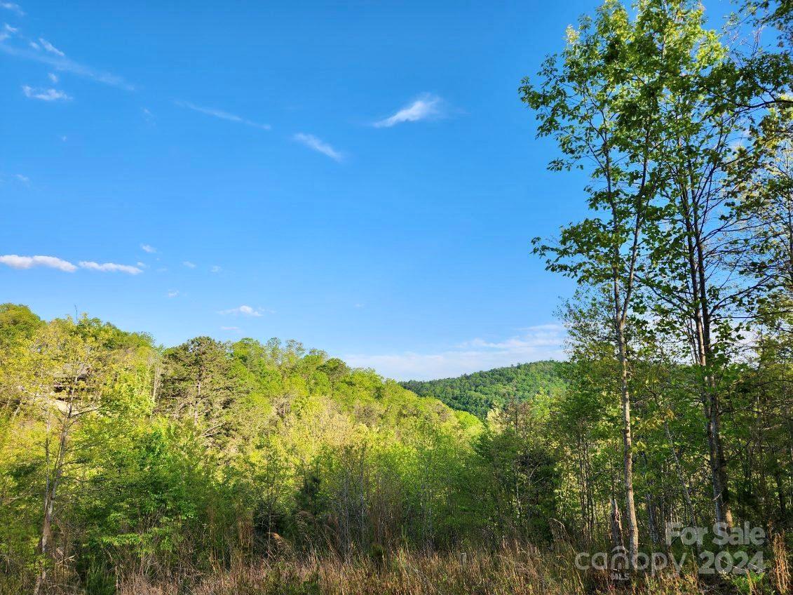 French Broad Crossing - Land
