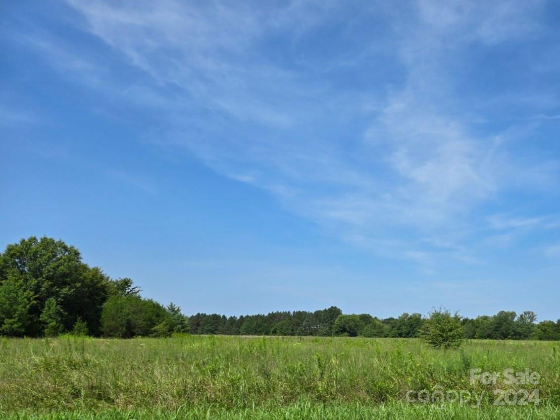 This rare 18.59-acre property, located in a highly desirable area, offers the perfect escape with peace and quiet all around. Ideal for horse lovers, the land provides plenty of space to create your own pasture and equestrian facilities. Whether you're dreaming of a farmhouse or a custom-built home, this property is ready for you to build and bring your vision to life—a true opportunity for tranquil, rural living that embraces farming, raising chickens, and gardening. With ample space for recreation, you can enjoy the best of country life while still having easy access to Rock Hill and York's shopping and dining amenities. NO HOA! Splitting property is an approximate acreage. Buyer will need new survey. See MLS # 4172918 and MLS #4172922