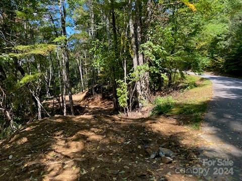 Smoky Mountain Retreat at Eagles Nest - Land