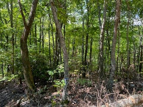 Smoky Mountain Retreat at Eagles Nest - Land
