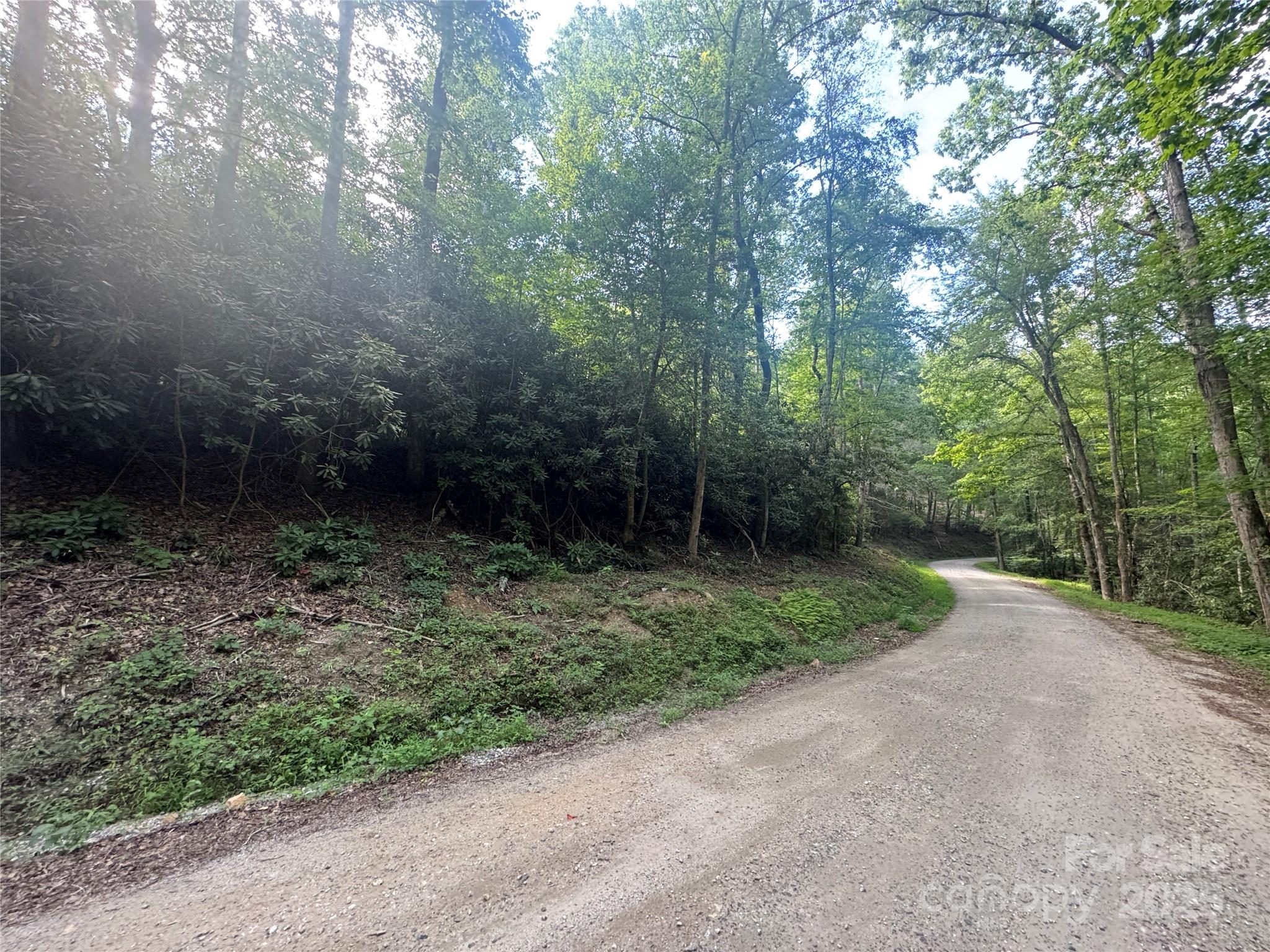 Discover this peaceful timber tract made up of two adjacent parcels near South Mountain State Park. Located in a rural area between Hwy 64 and Hwy 18 in Morganton, NC, the property sits at the end of a quiet dead-end road, offering privacy and seclusion. An unimproved drive provides access into the land, and a power easement is already in place. The property has been surveyed, and a few light deed restrictions apply—modular homes are allowed, but mobile homes are not. Ideal for a private retreat, recreational use, or long-term investment.