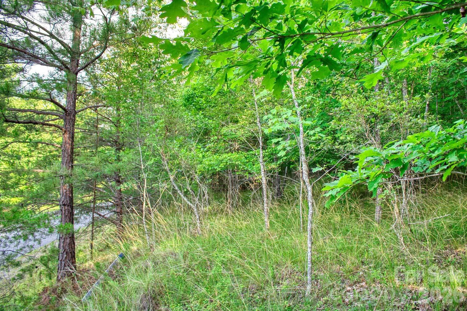 Clearwater Creek - Land
