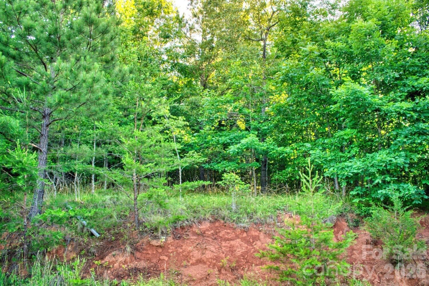 Clearwater Creek - Land