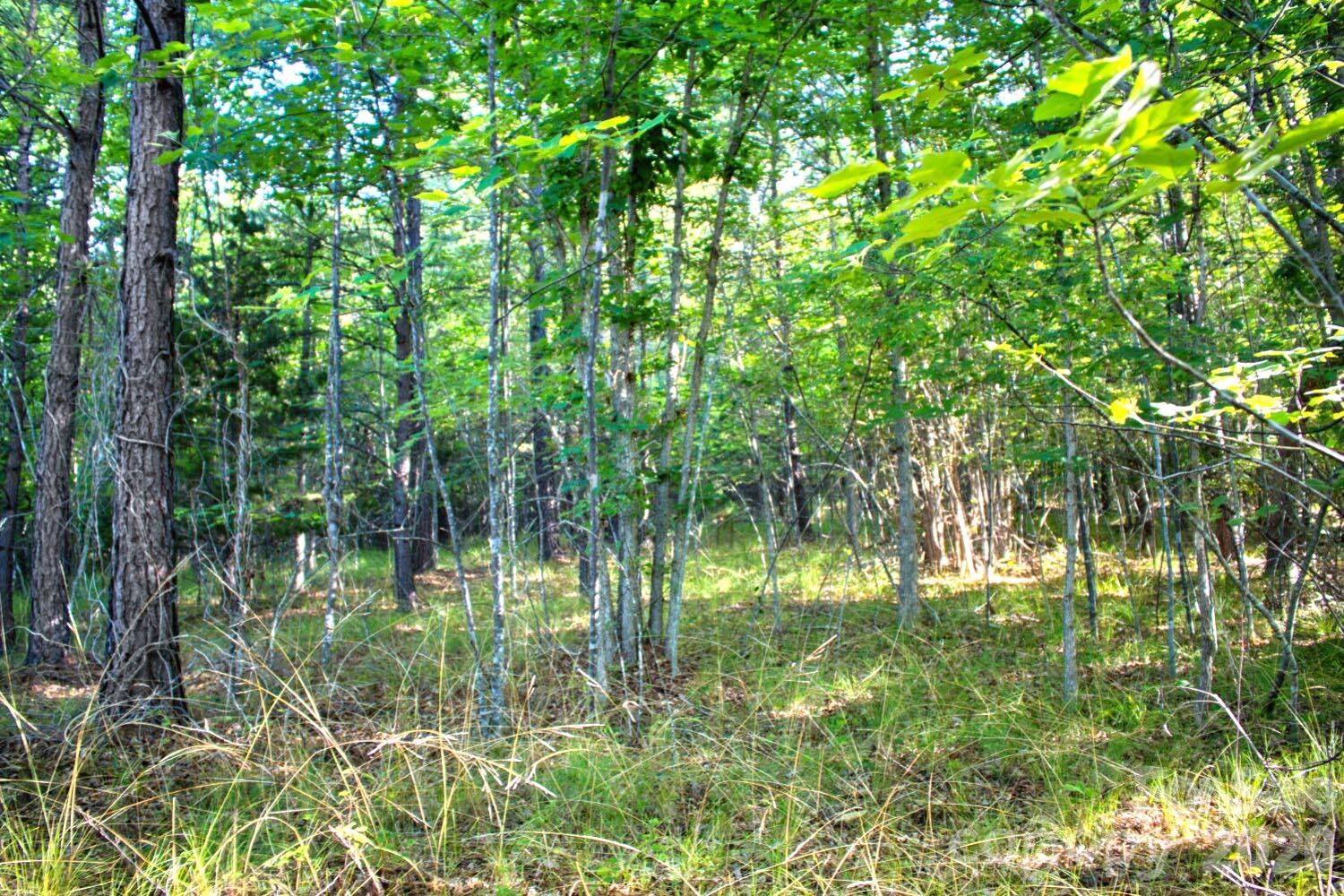 Clearwater Creek - Land