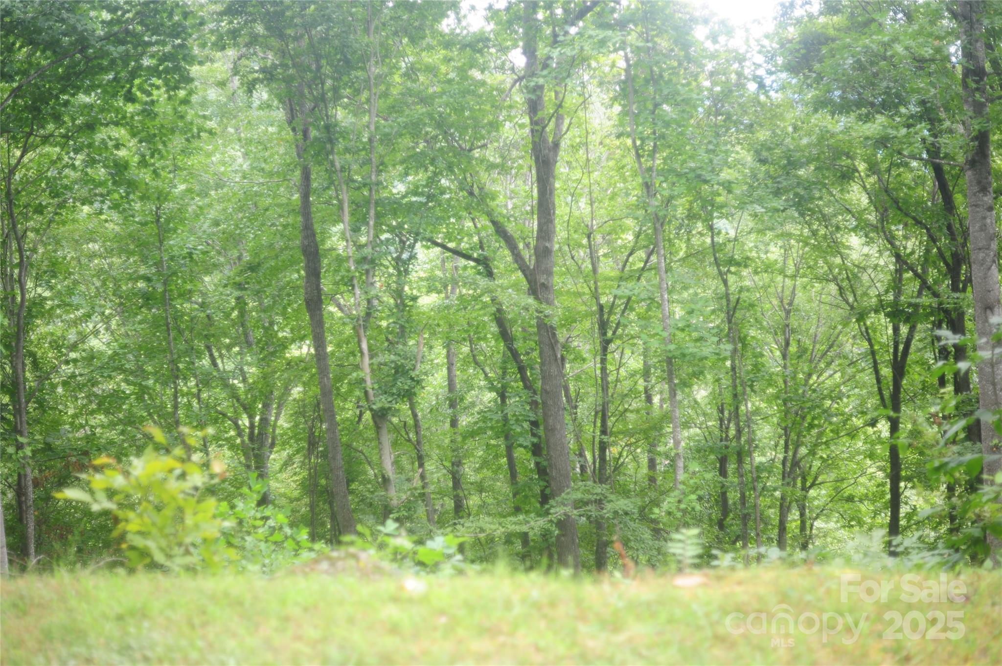 Opportunity knocks! This fantastic 1.24-acre lot has everything -- an active 4-bedroom septic permit; plat; electric, community water, and high speed fiber optic internet; deeply sloped to flat building area; winter ridgeline view; paved access; and best of all, it's under $30K in desirable, gated Laurel Ridge. Build your dream mountain home in this subdivision of nearly 100 executive homes and enjoy a fire substation, community center, gorgeous natural setting, and abundant wildlife. It's like living off the Blue Ridge Parkway! All this only 10 minutes to downtown Black Mountain and 15 minutes to I-40. Black Mountain was featured in Southern Living Magazine and has received numerous accolades. See this lovely property today and take advantage of this amazing opportunity!