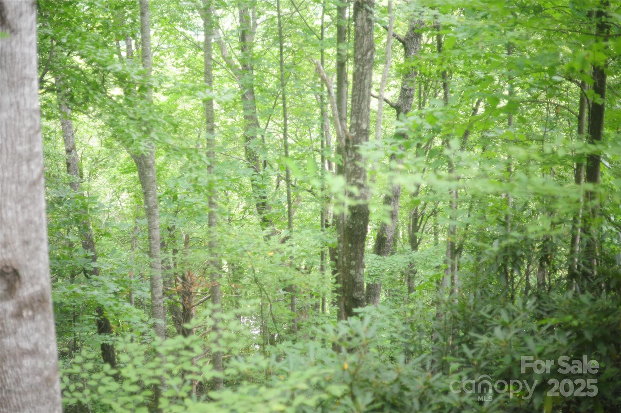 Laurel Ridge - Land