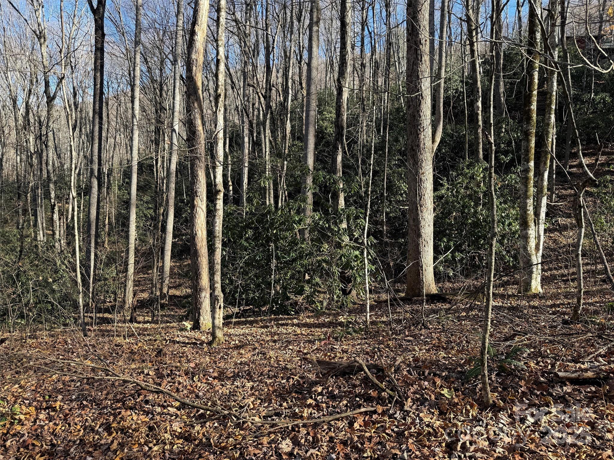 Wild Acres - Land