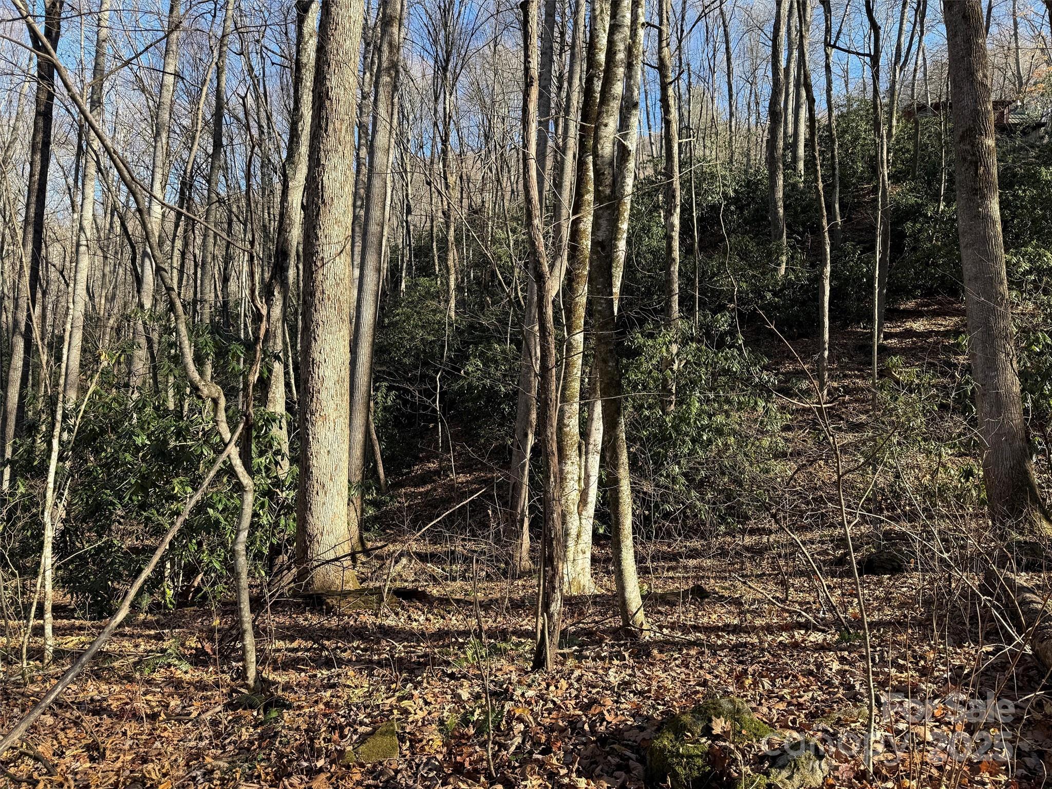 Wild Acres - Land