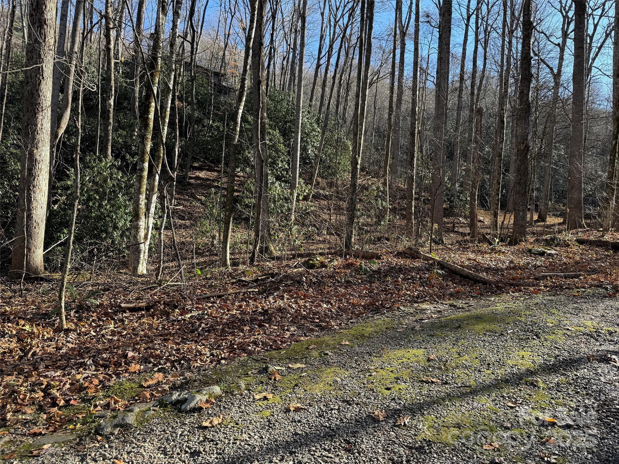 Wild Acres - Land