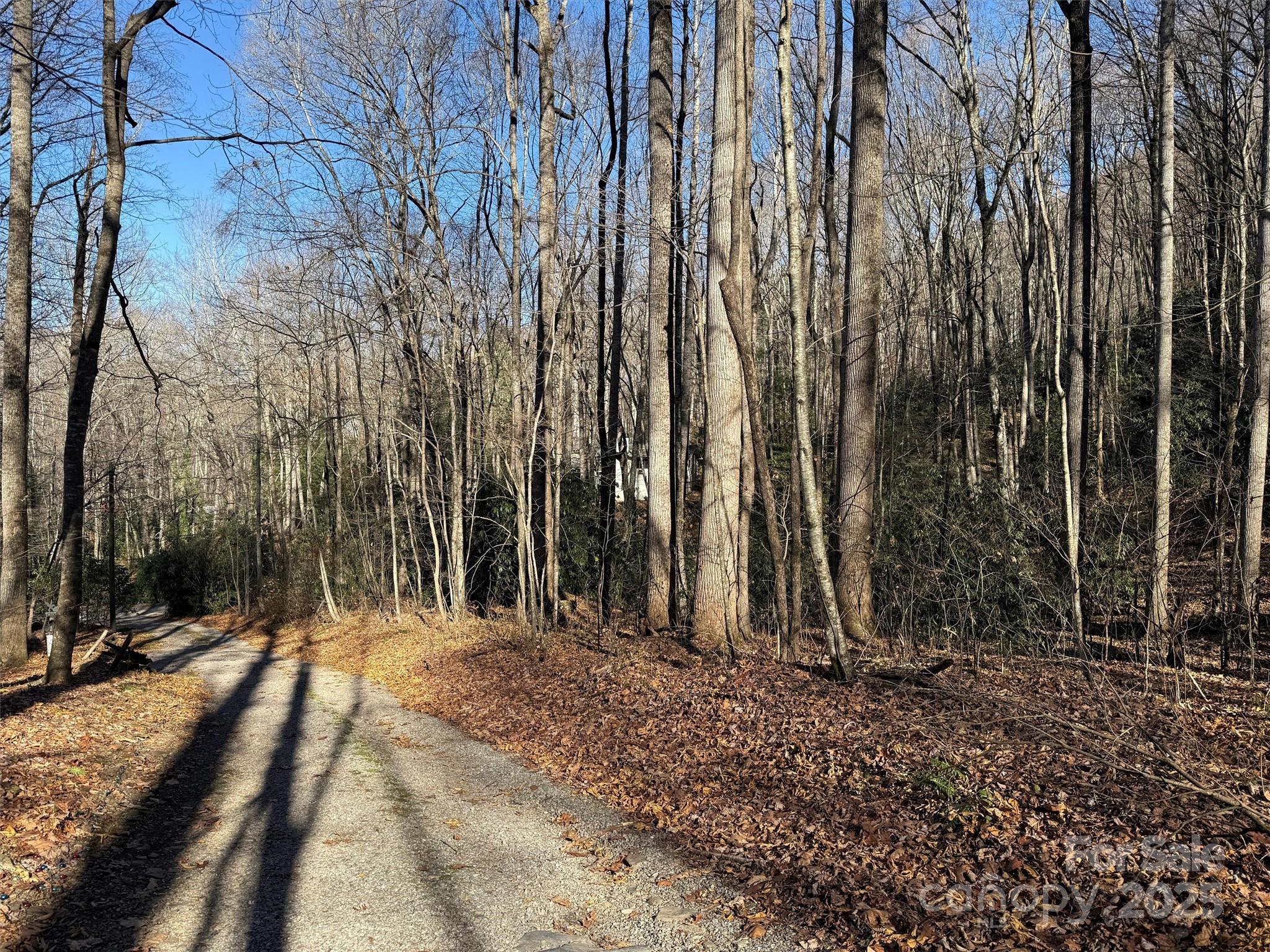 Wild Acres - Land