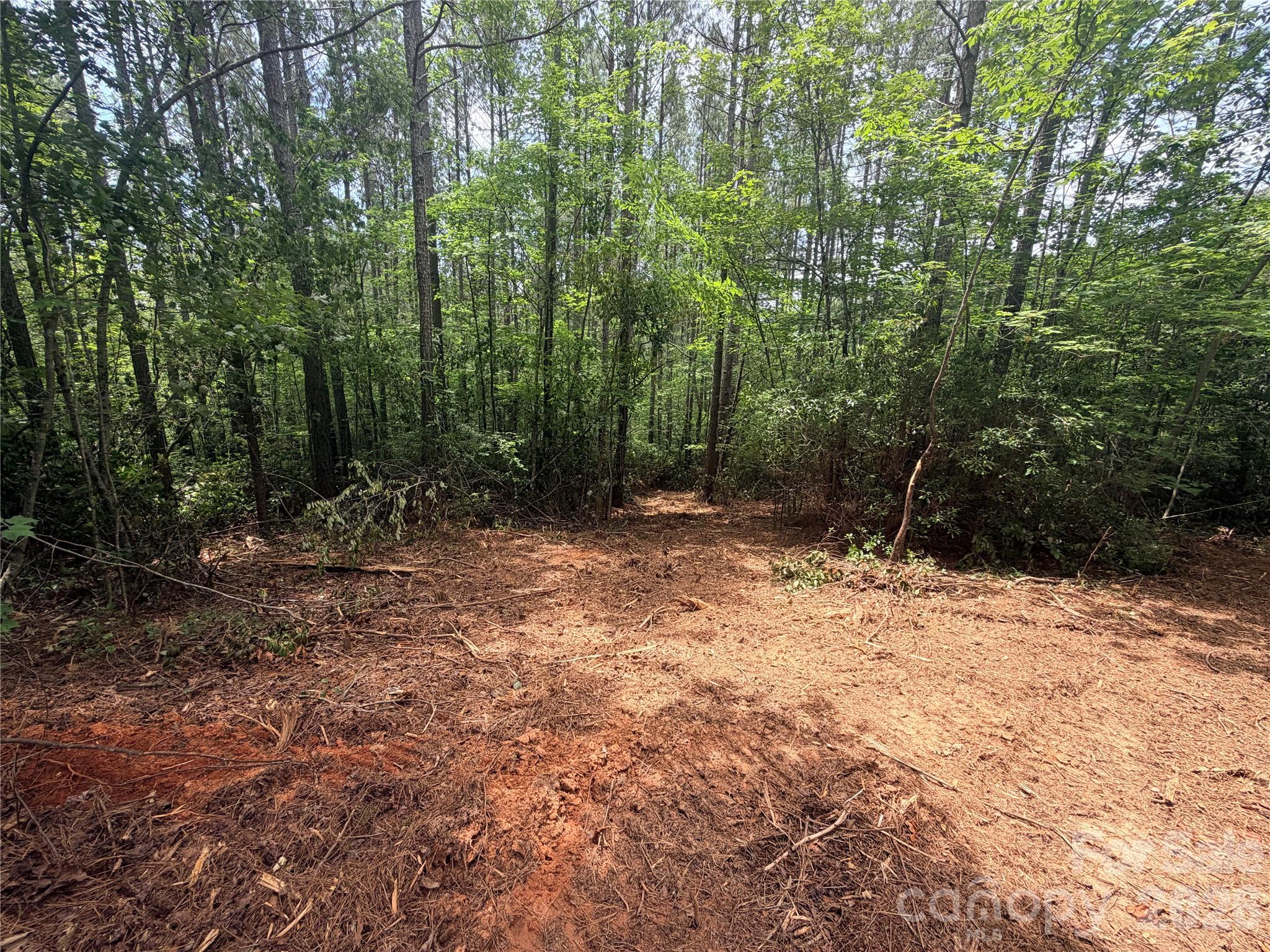 High Lodges At Otter Creek - Land