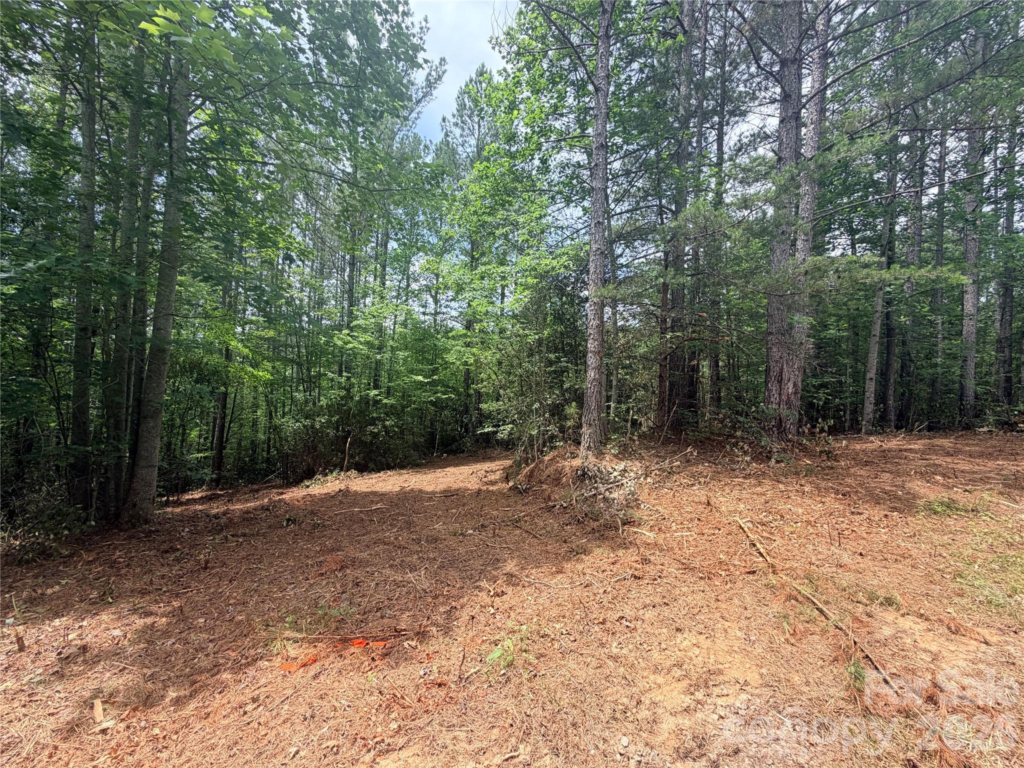 High Lodges At Otter Creek - Land