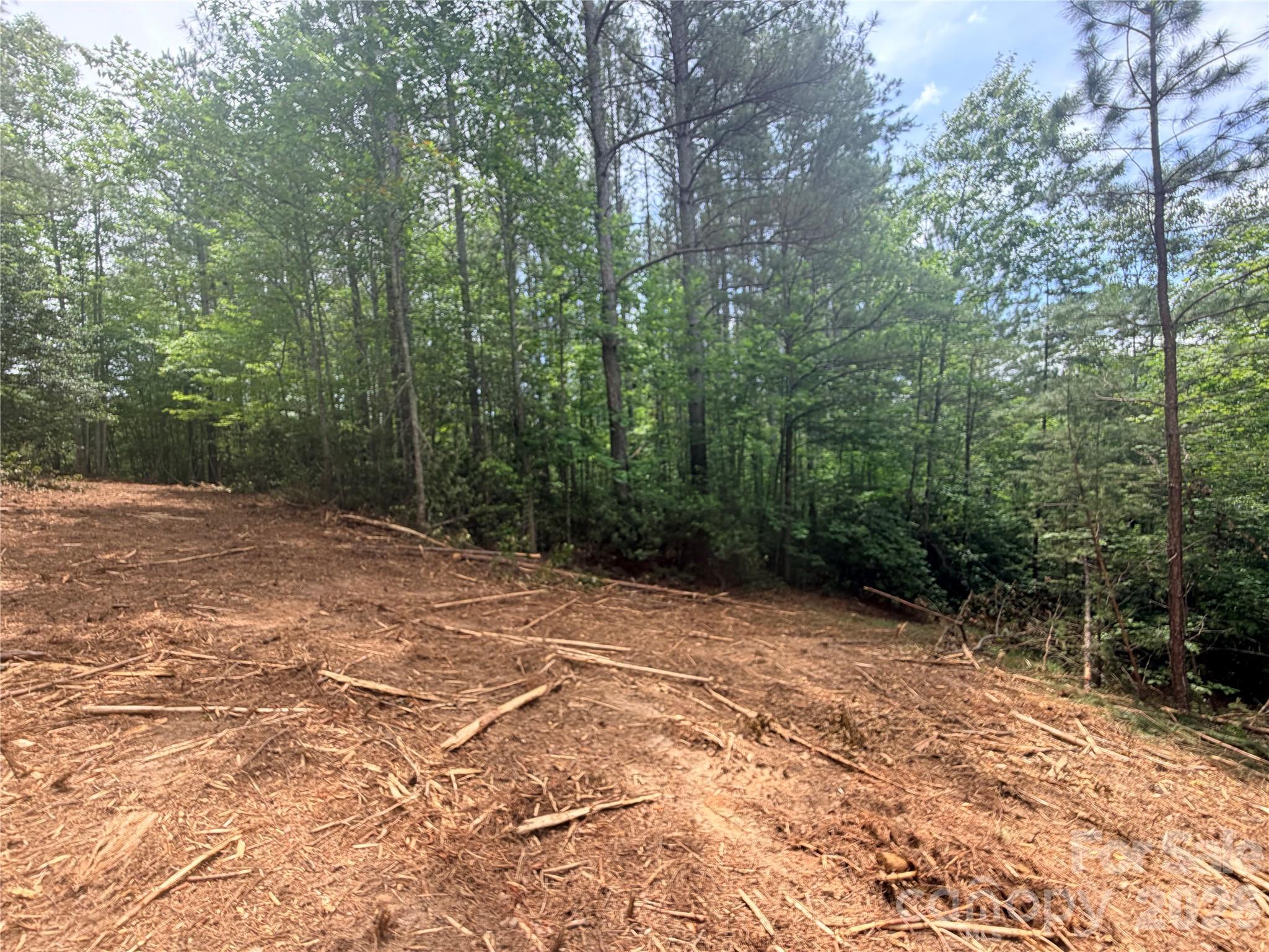 High Lodges At Otter Creek - Land