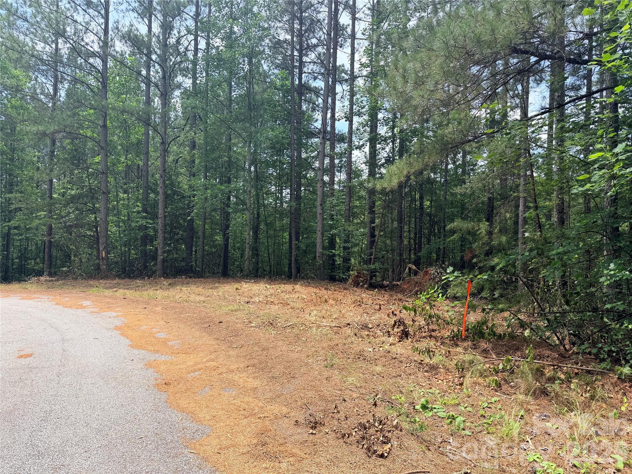 High Lodges At Otter Creek - Land