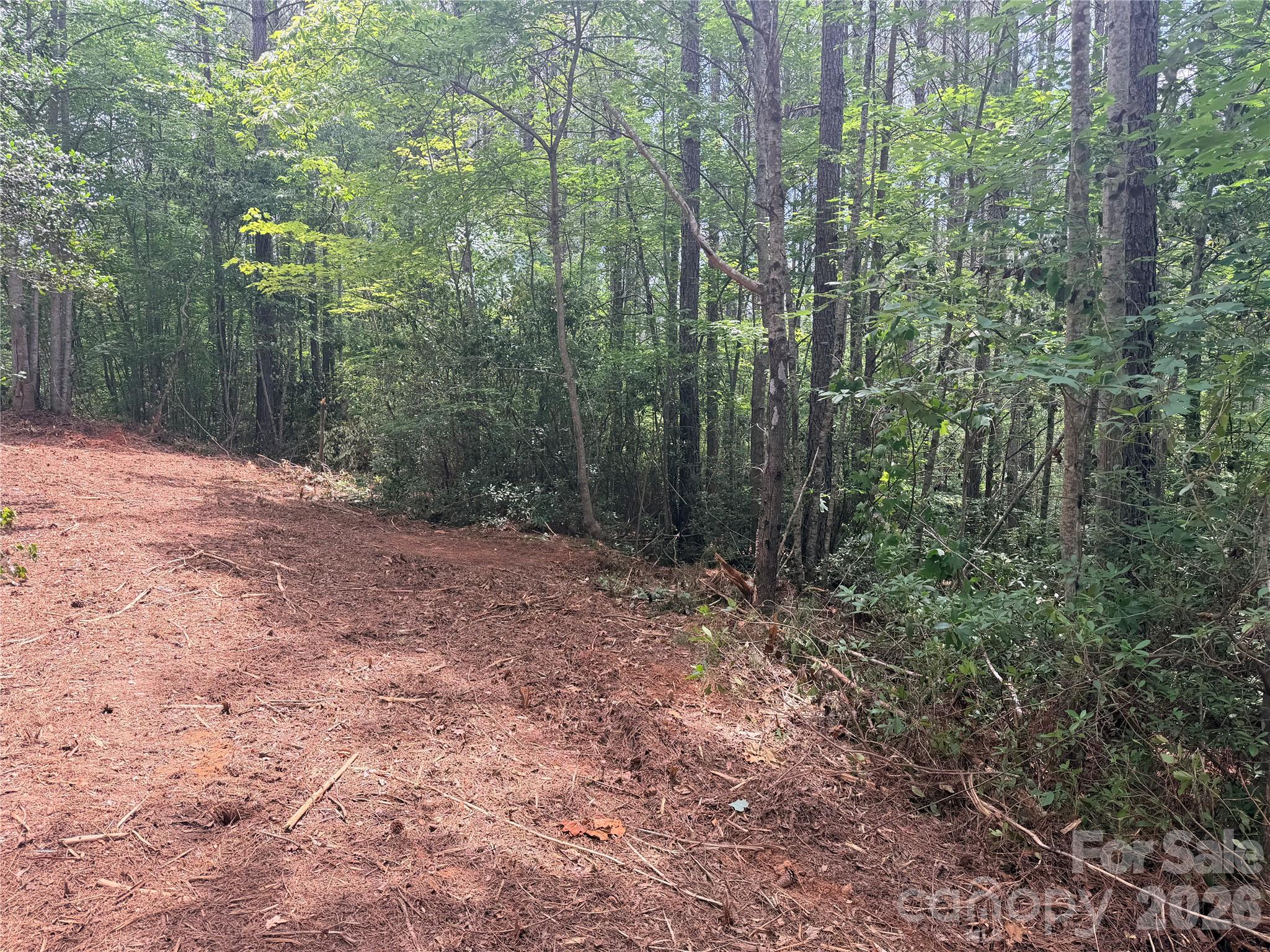 High Lodges At Otter Creek - Land