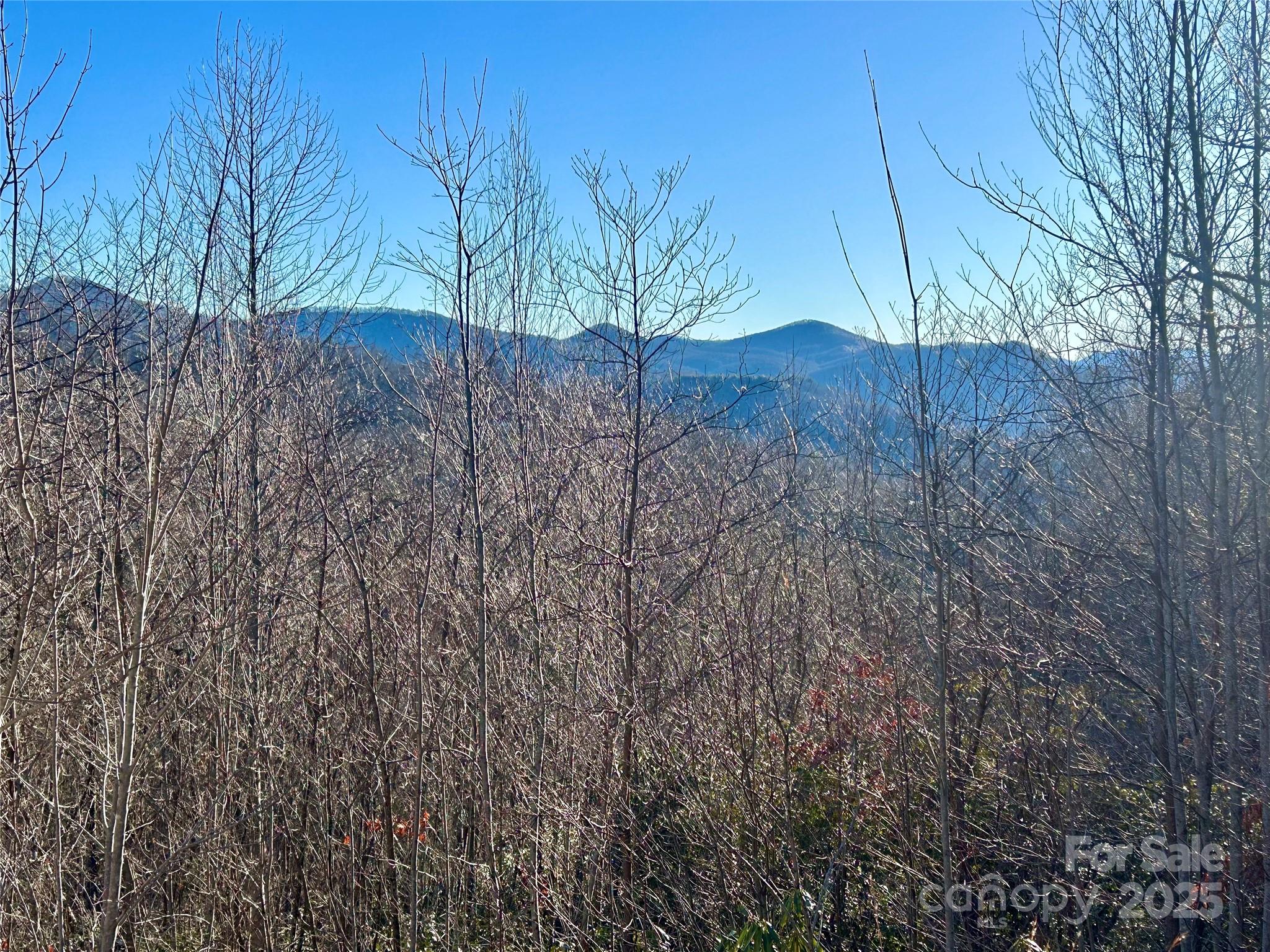 Long range views from this cleared lot in beautiful Alarka Highlands. Gated community. An absolutely beautiful location for a mountain home or vacation rental. Very long driveway leading to the private lot. Would recommend walking down to the pad, small tree is blocking the drive. Balsam West internet in the Subdivision, so chances of high-speed internet are good but would need to be confirmed.