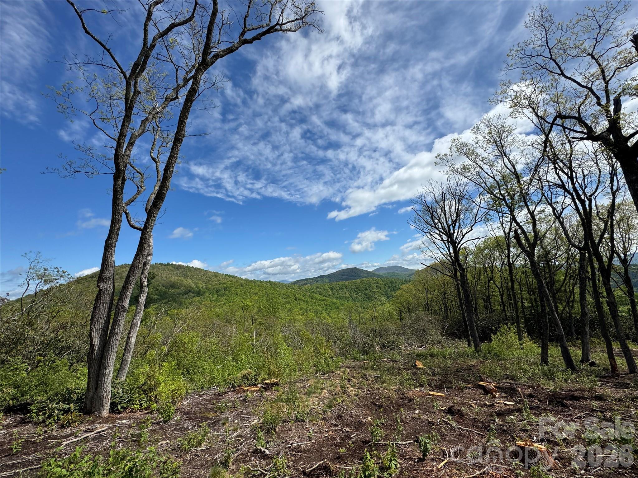 Nature enthusiasts will fall in love with Lot 45, located within the gated community of Sprout. This 2.6-acre homesite offers expansive, unobstructed views of the stunning Blue Ridge Mountains, creating a truly serene and private setting. Bordering a 150-acre nature preserve, the property ensures lasting tranquility and protected surroundings for years to come. The gently sloping terrain provides an ideal and cost-effective build site, while access to an existing well allows you to allocate more resources toward designing and building your dream home.
The community of Sprout is situated between Hendersonville and Asheville, making every day errands so convenient. Only 20 minutes to the Asheville airport and 15 minutes to all downtown Hendersonville has to offer. Explore 5 miles of private trails right outside your back door, plant a harvest in the community gardens or learn to bee keep on the property's 2 apiaries. Sprout is a master-planned community on over 400 acres with only 73 total homesites, giving each owner privacy and serenity.