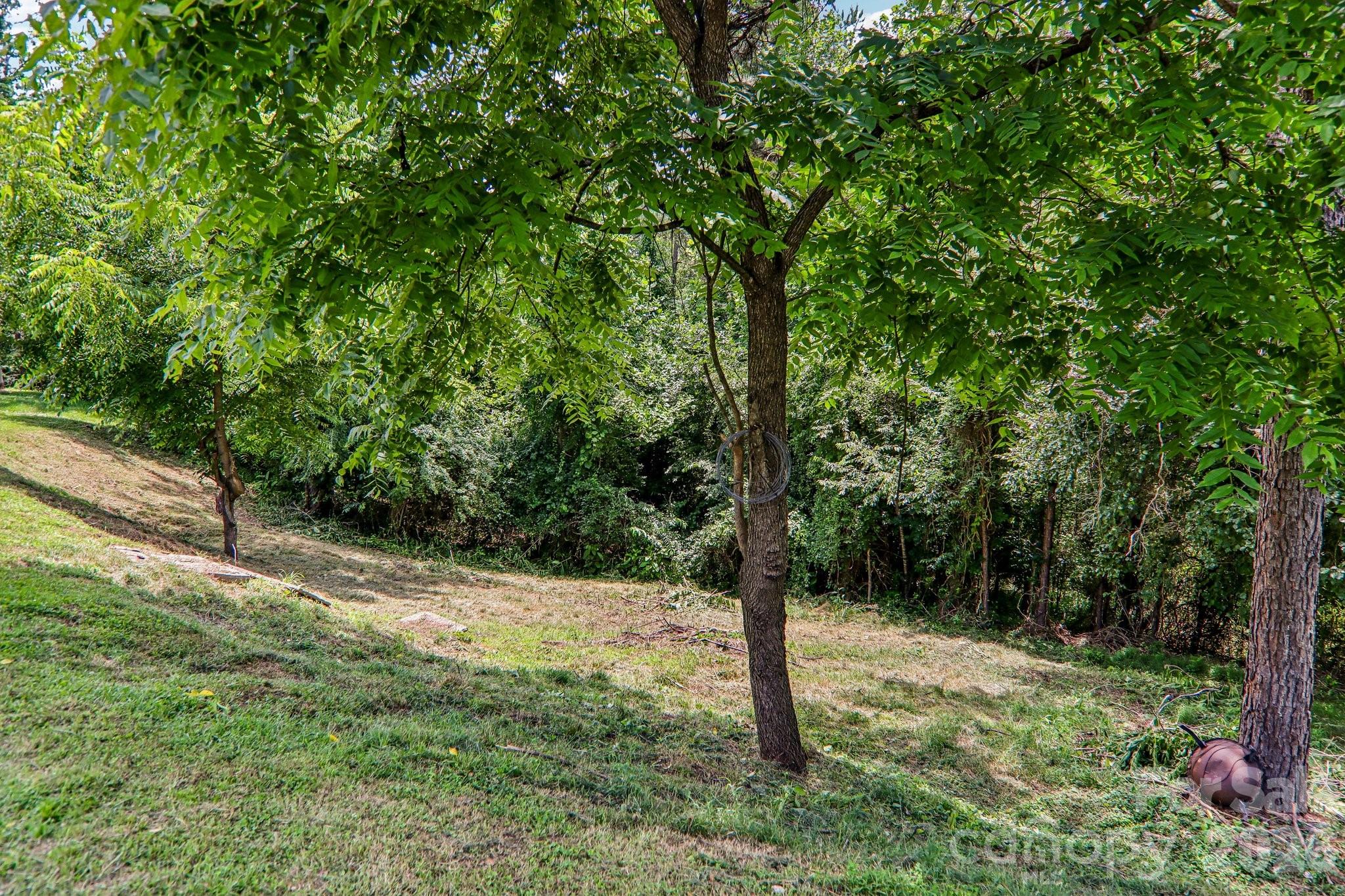 Hills of French Broad - Residential